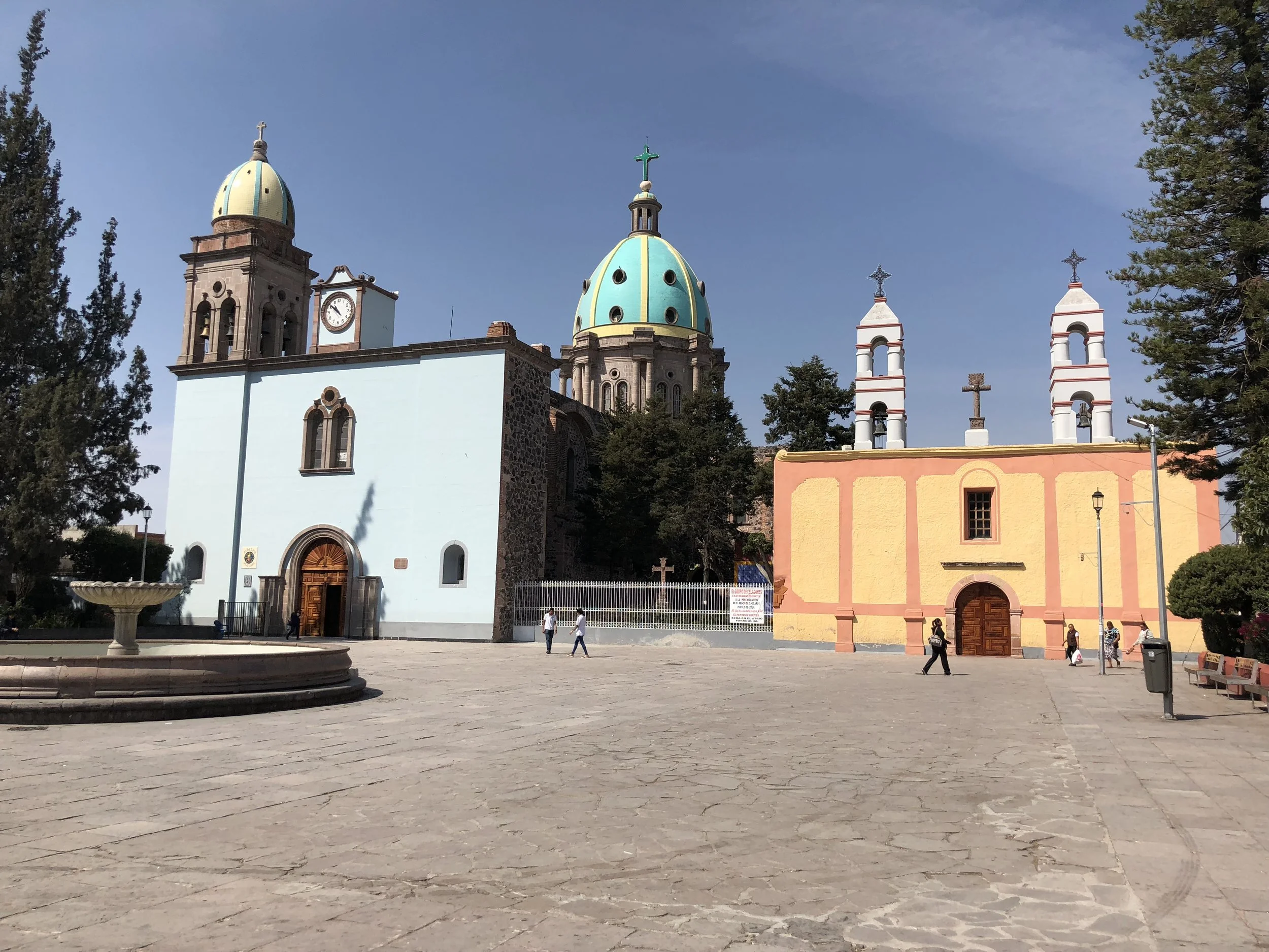 IMG_0421.jpg
