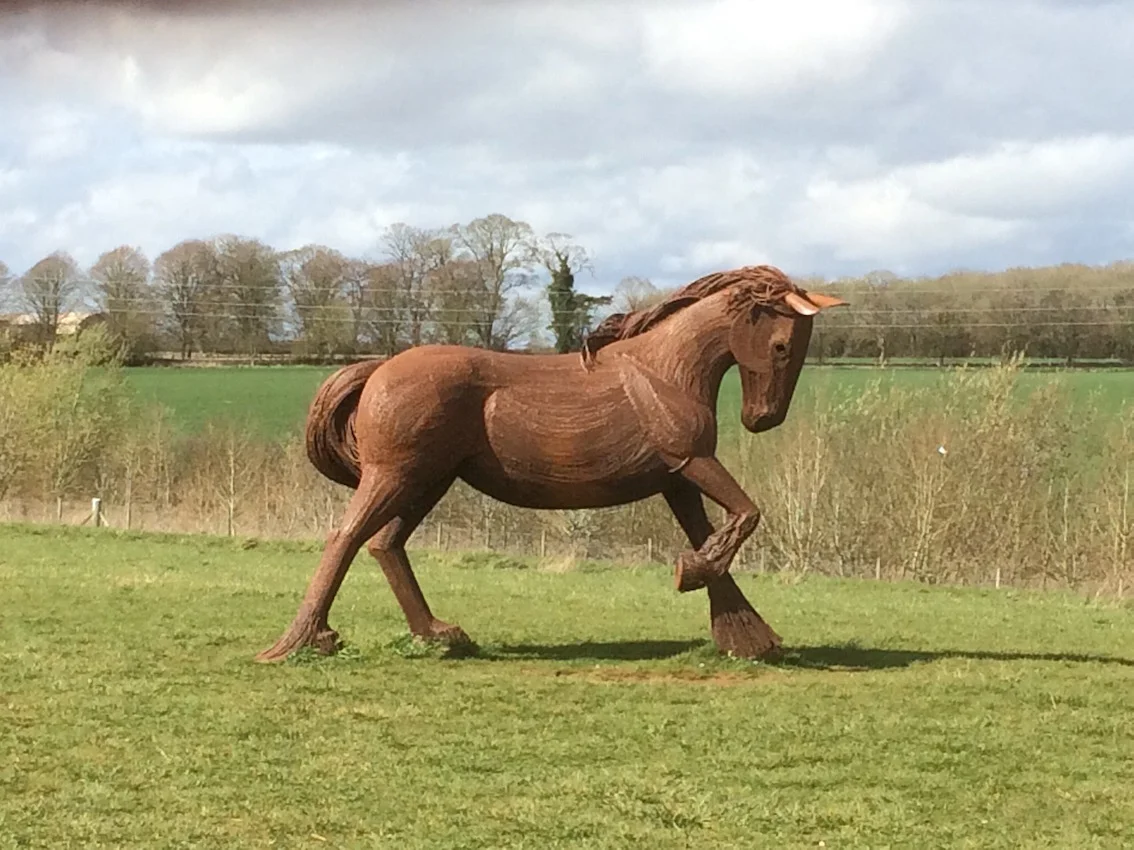 cartertonHorse.jpg