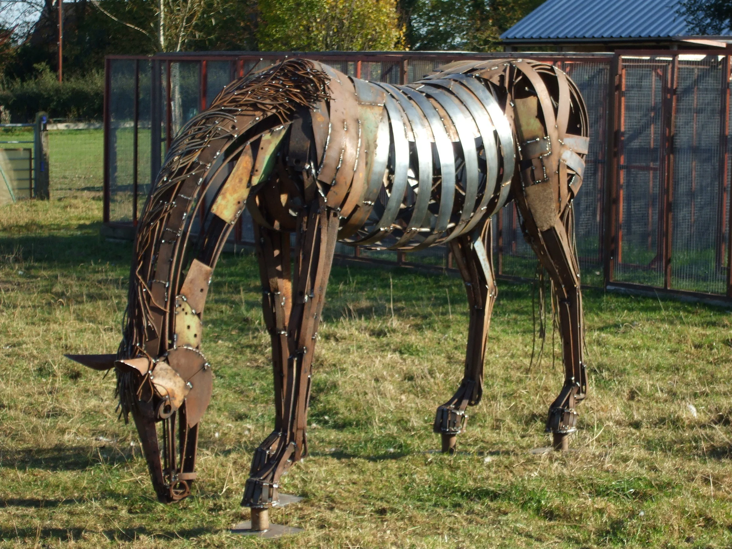 nyhorse.JPG