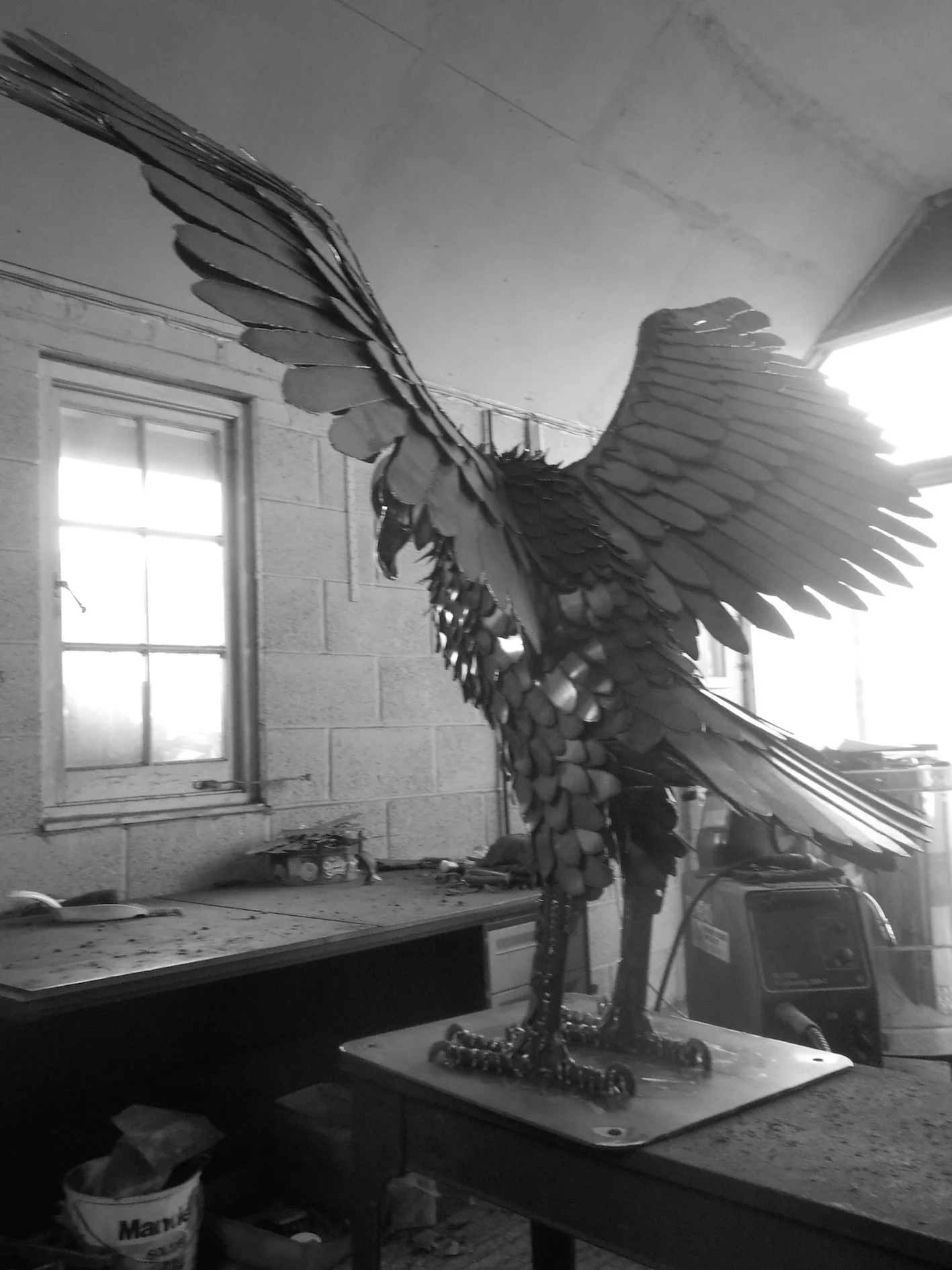 DSCN5548.JPG