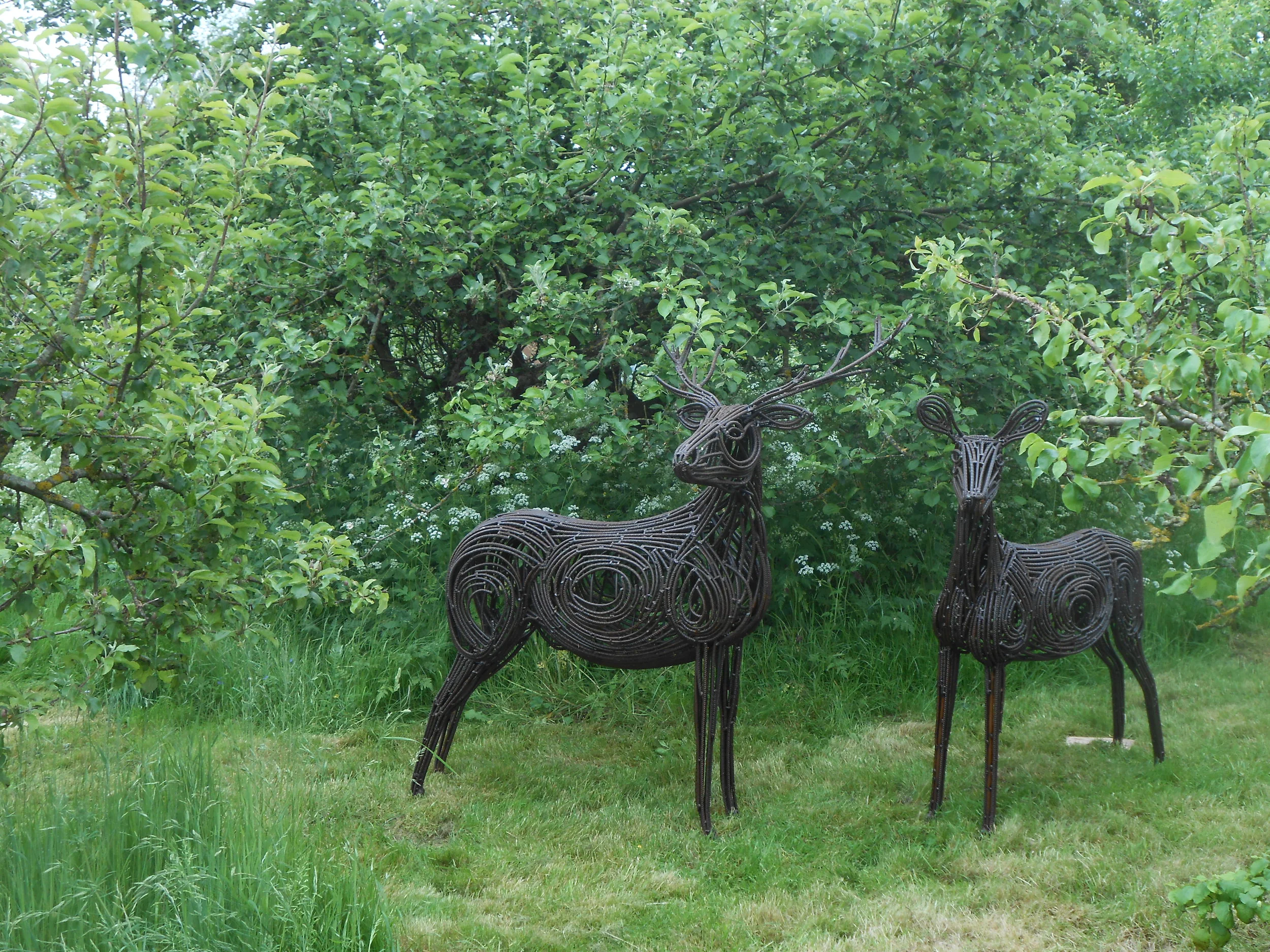 Stag and Doe.