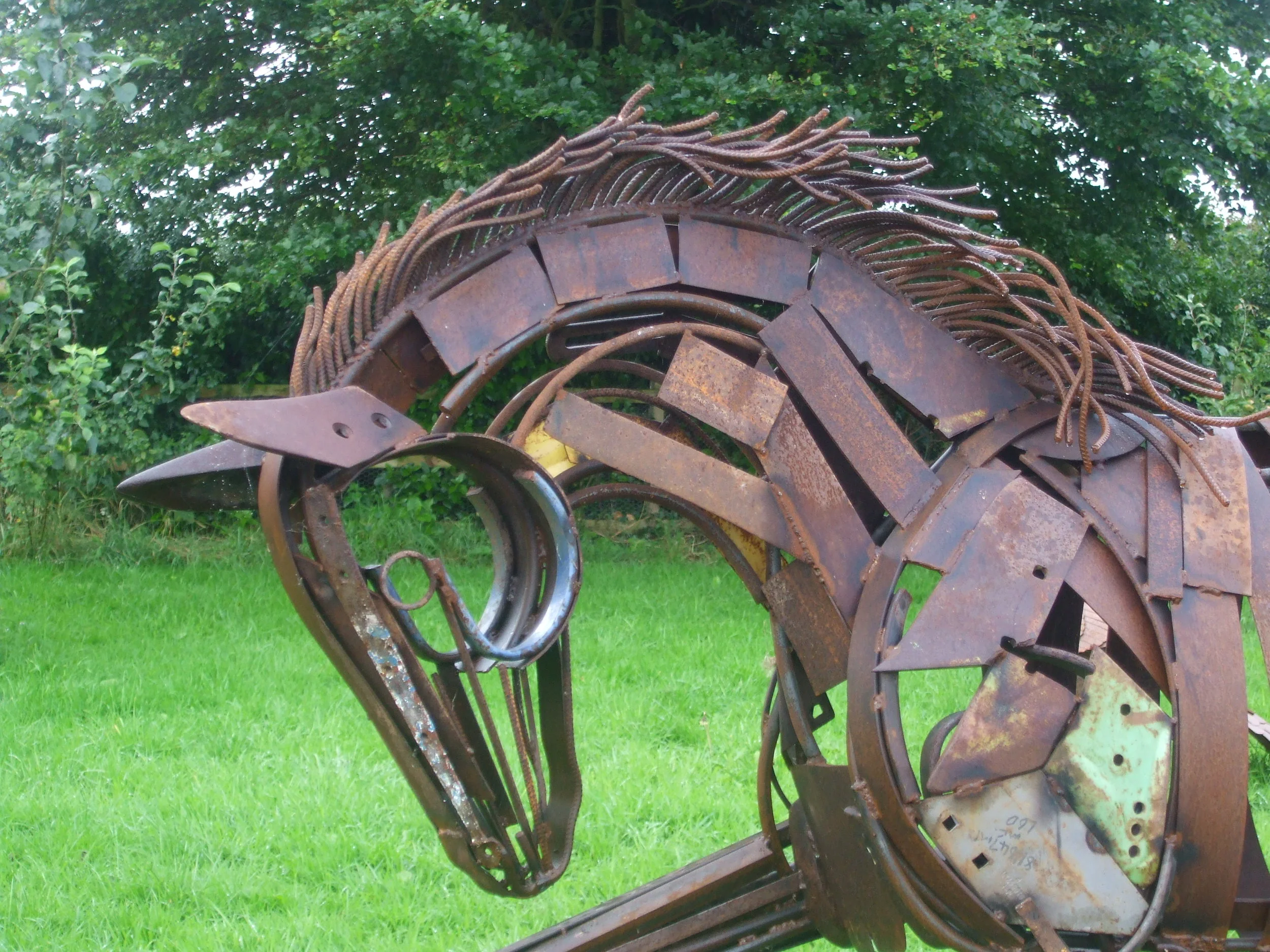 thoroughbred.JPG