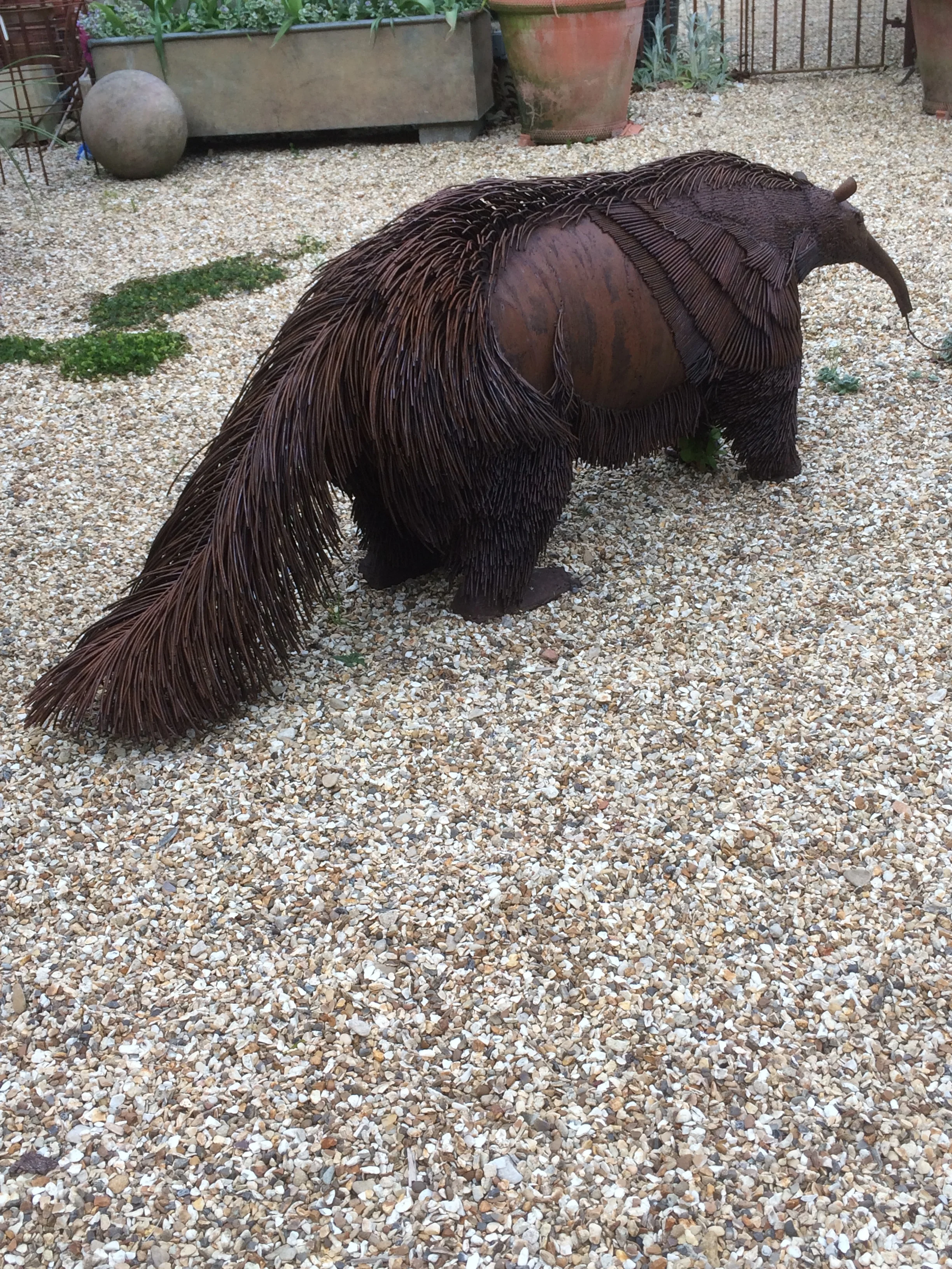 Anteater.