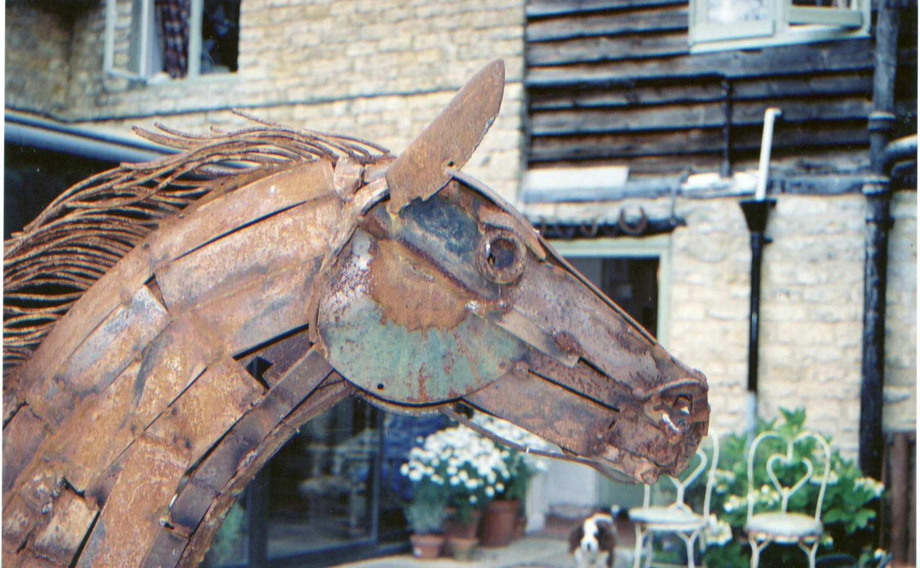 horse 3.jpeg