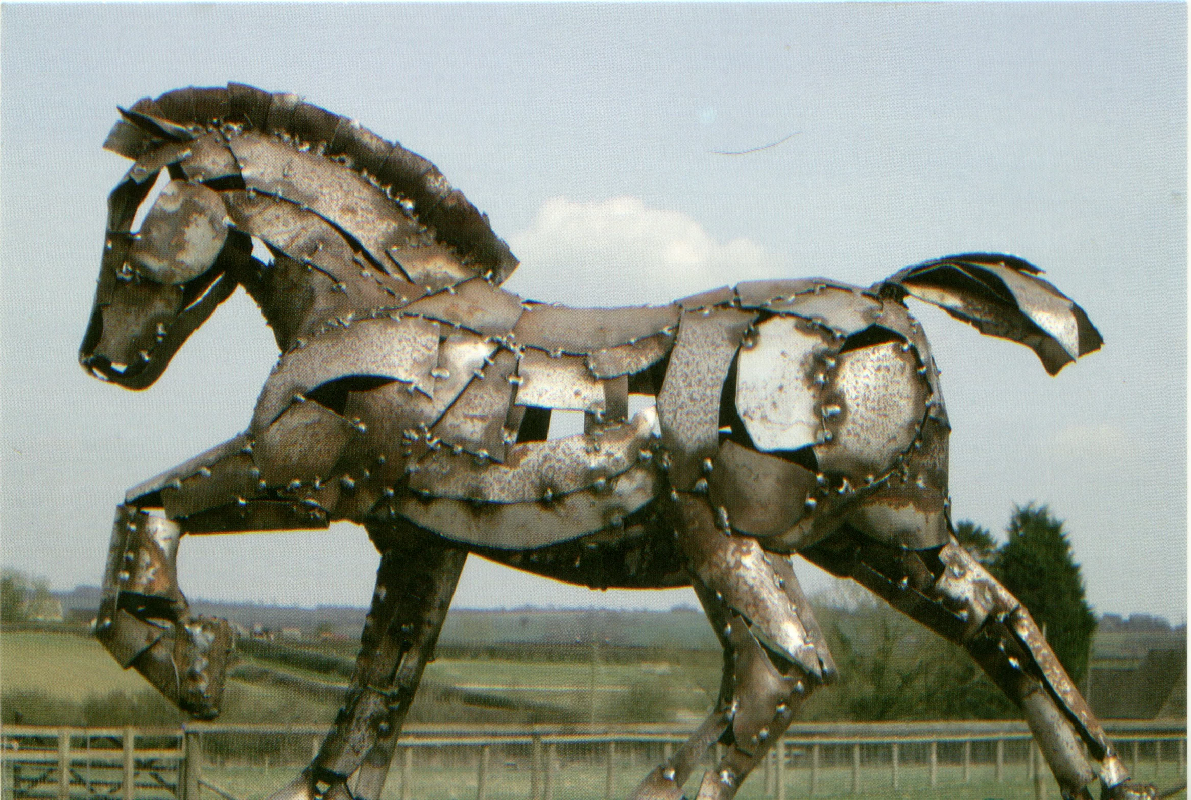 war horse.jpeg
