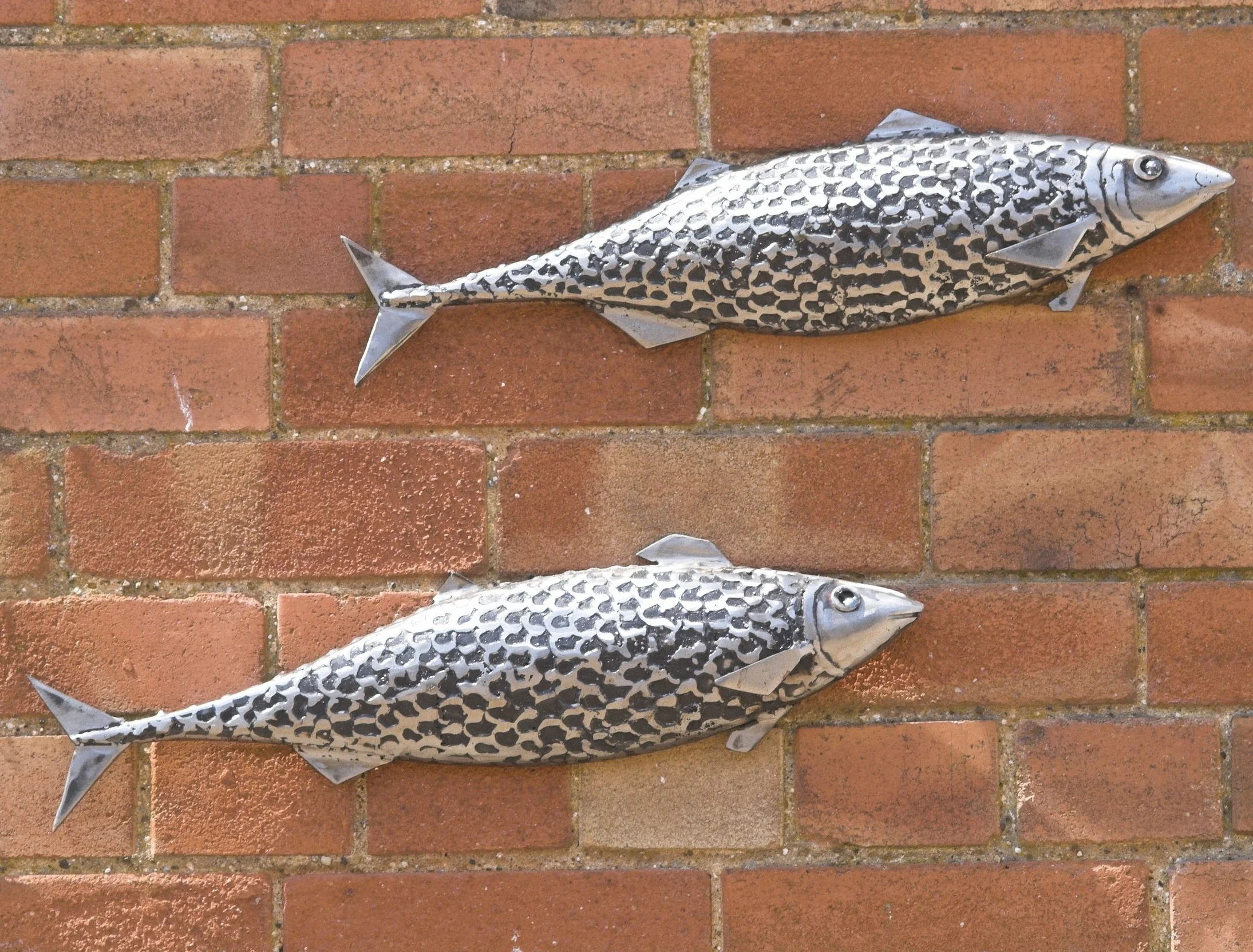 fish.jpg