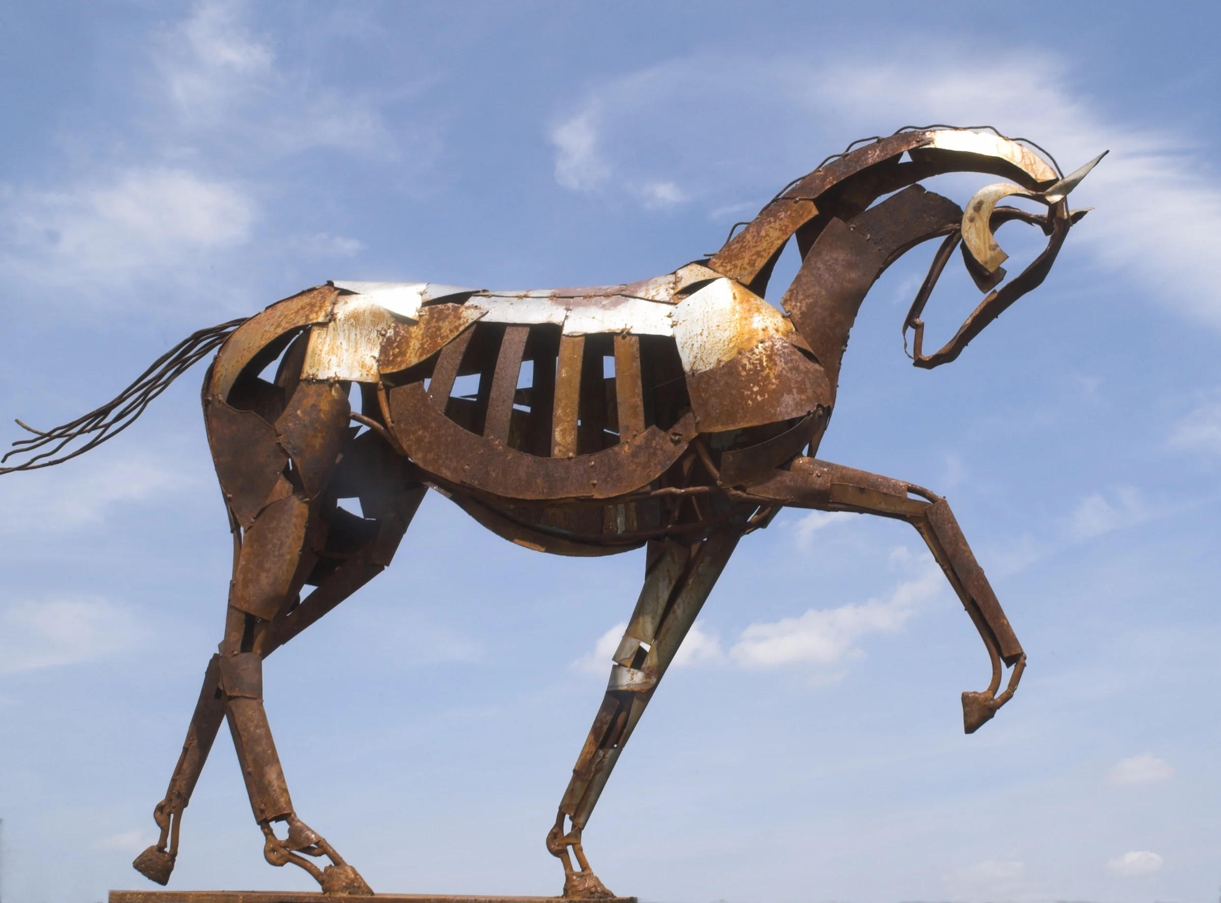 smallhorse3.jpg