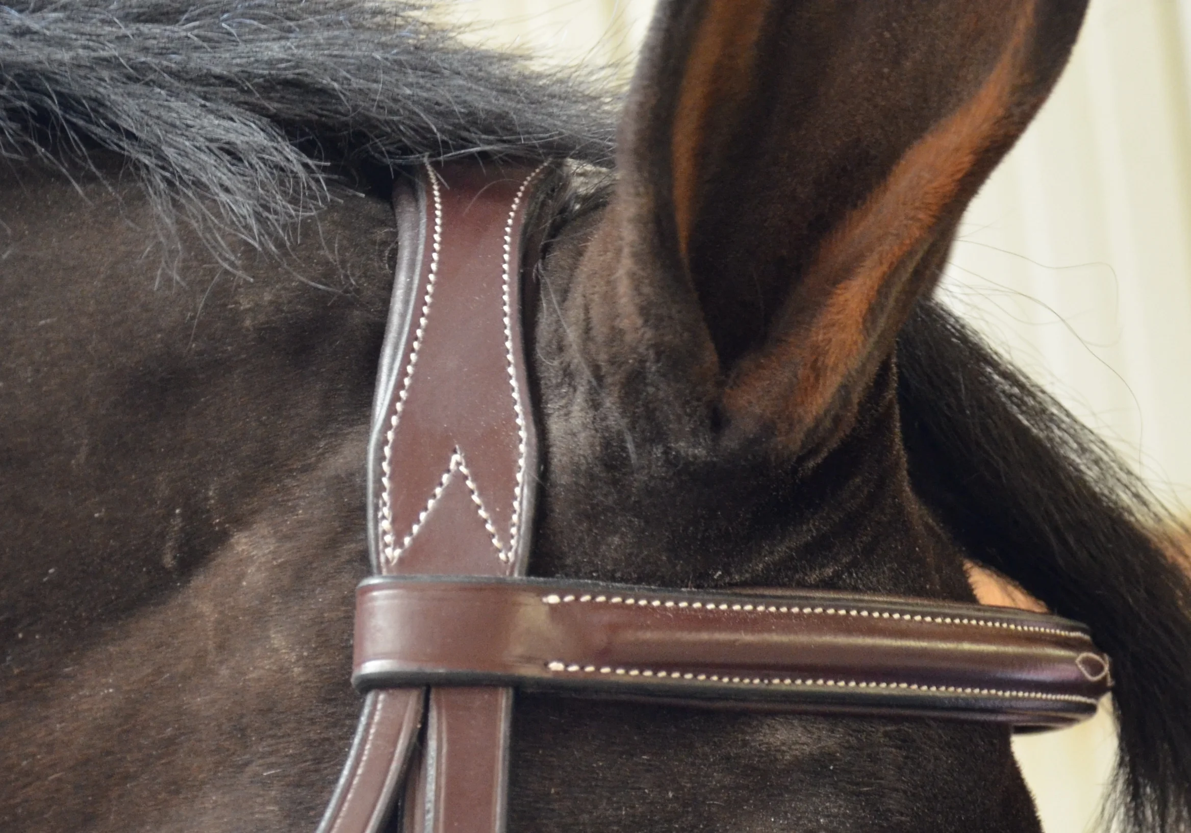 contoured-black-oak-headstall.jpg