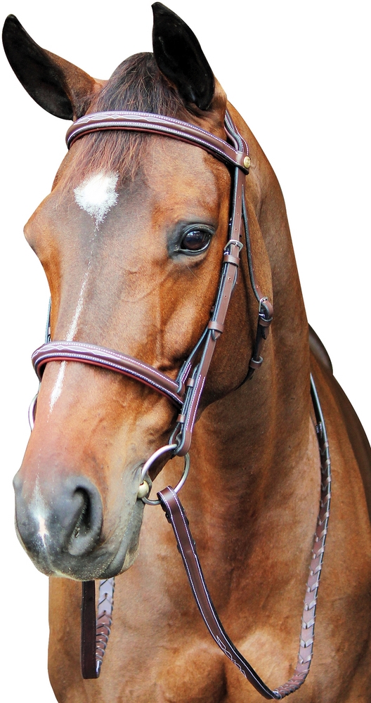 Details about   Henri De Rivel Horse Fancy Raised Padded Bridle With Laced Reins Pro Collection