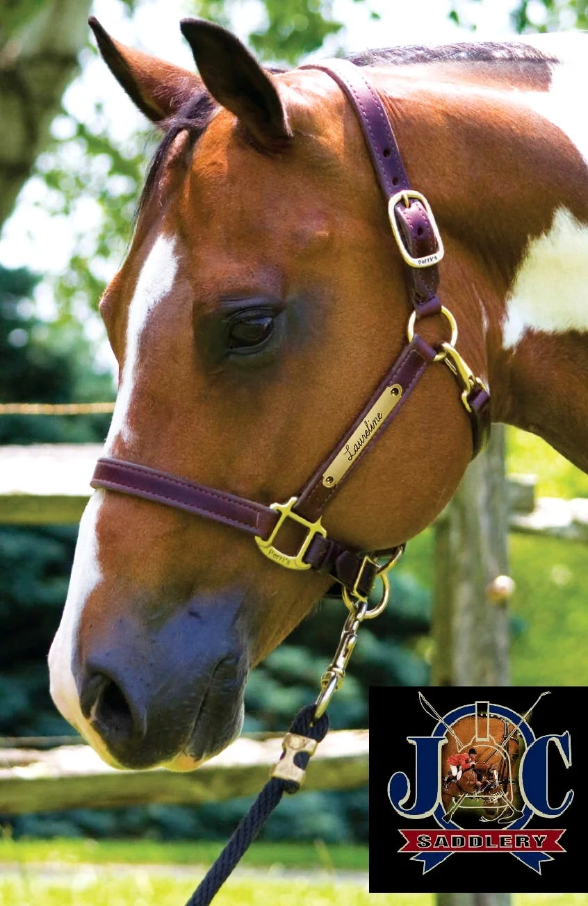 Custom Engraving Tack Plates Engraved Halters — JC Saddlery Online