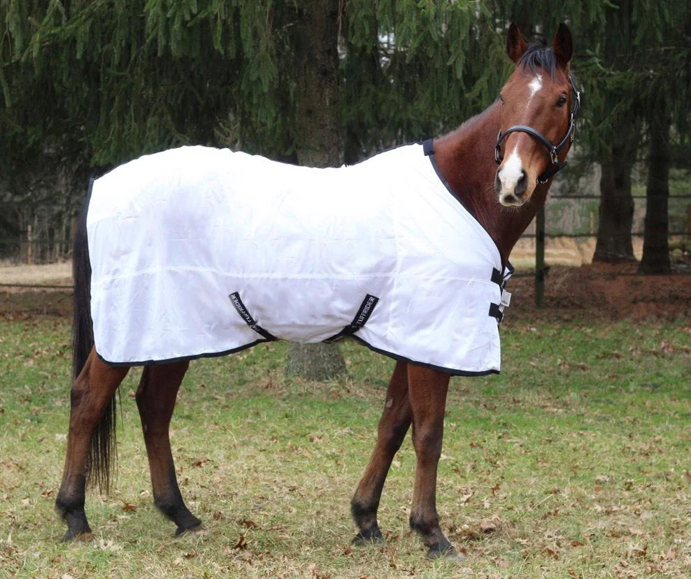 fly sheet.jpg