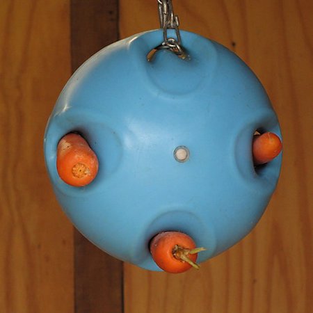 carrotball2.jpg