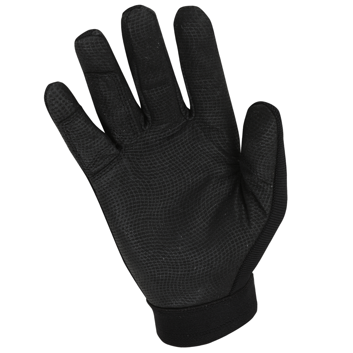 HG130-PALM.png