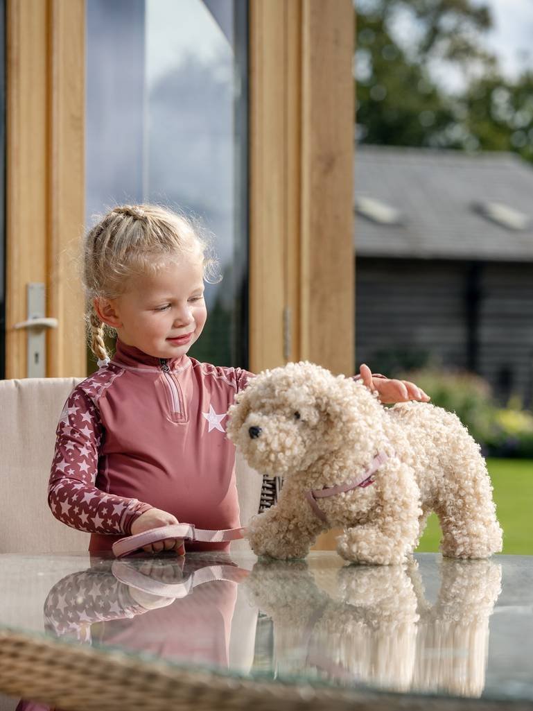 it03860_lifestyle_toypuppy_chester_1_copy.jpg