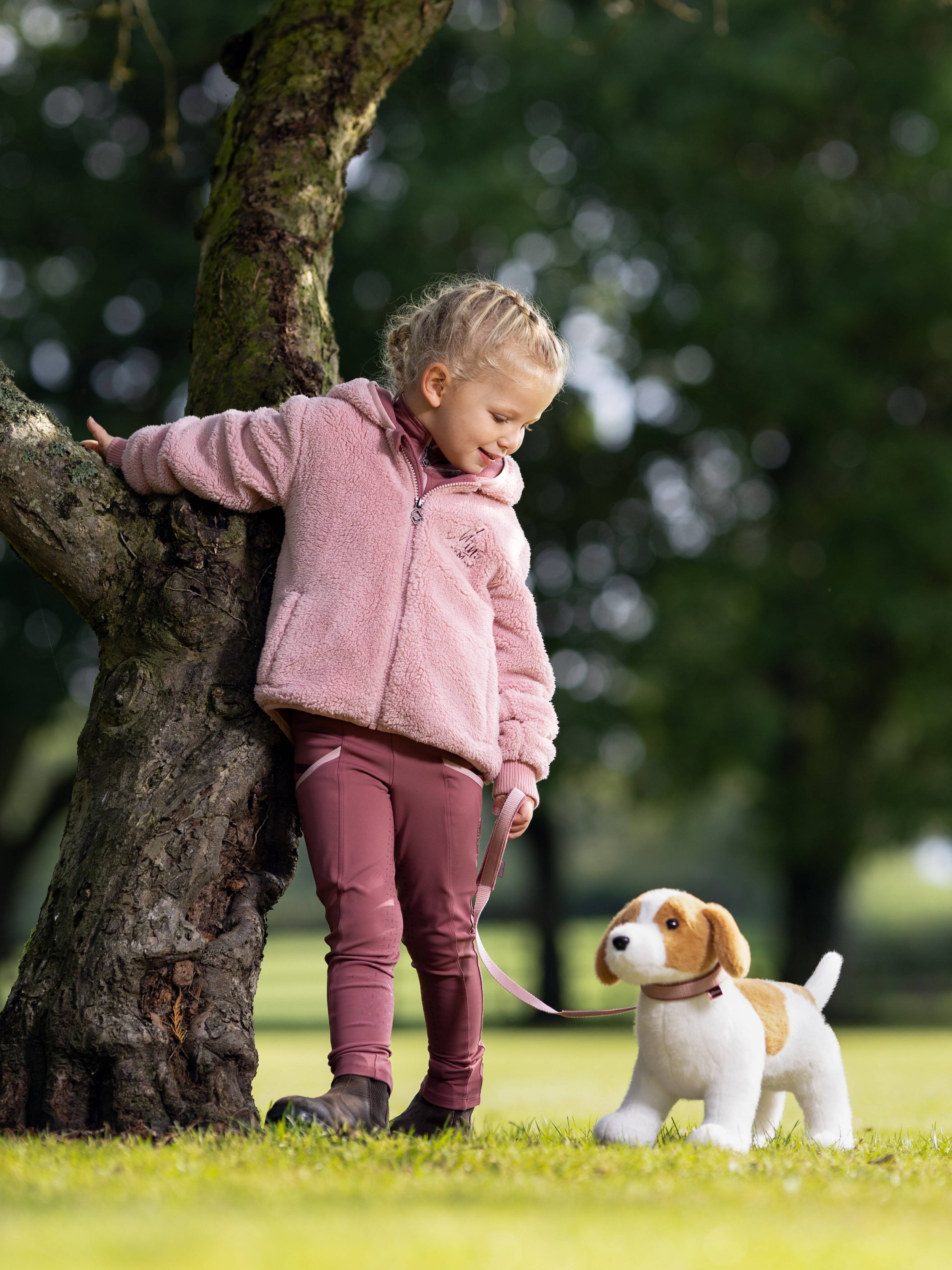 it03862_lifestyle_toypuppy_jack_2-pt.jpg