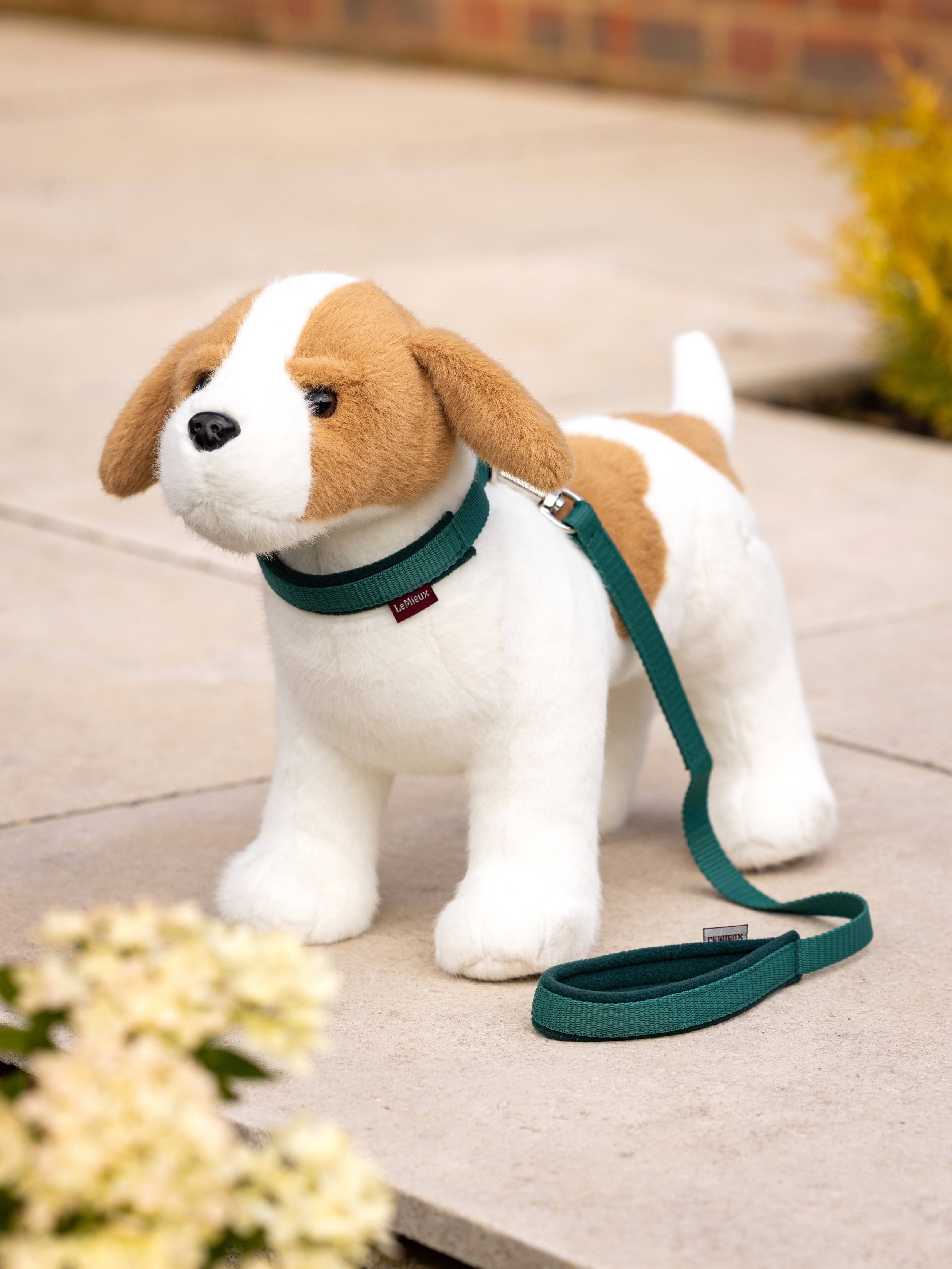 it03862_lifestyle_toydog_jackrussell_2.jpg