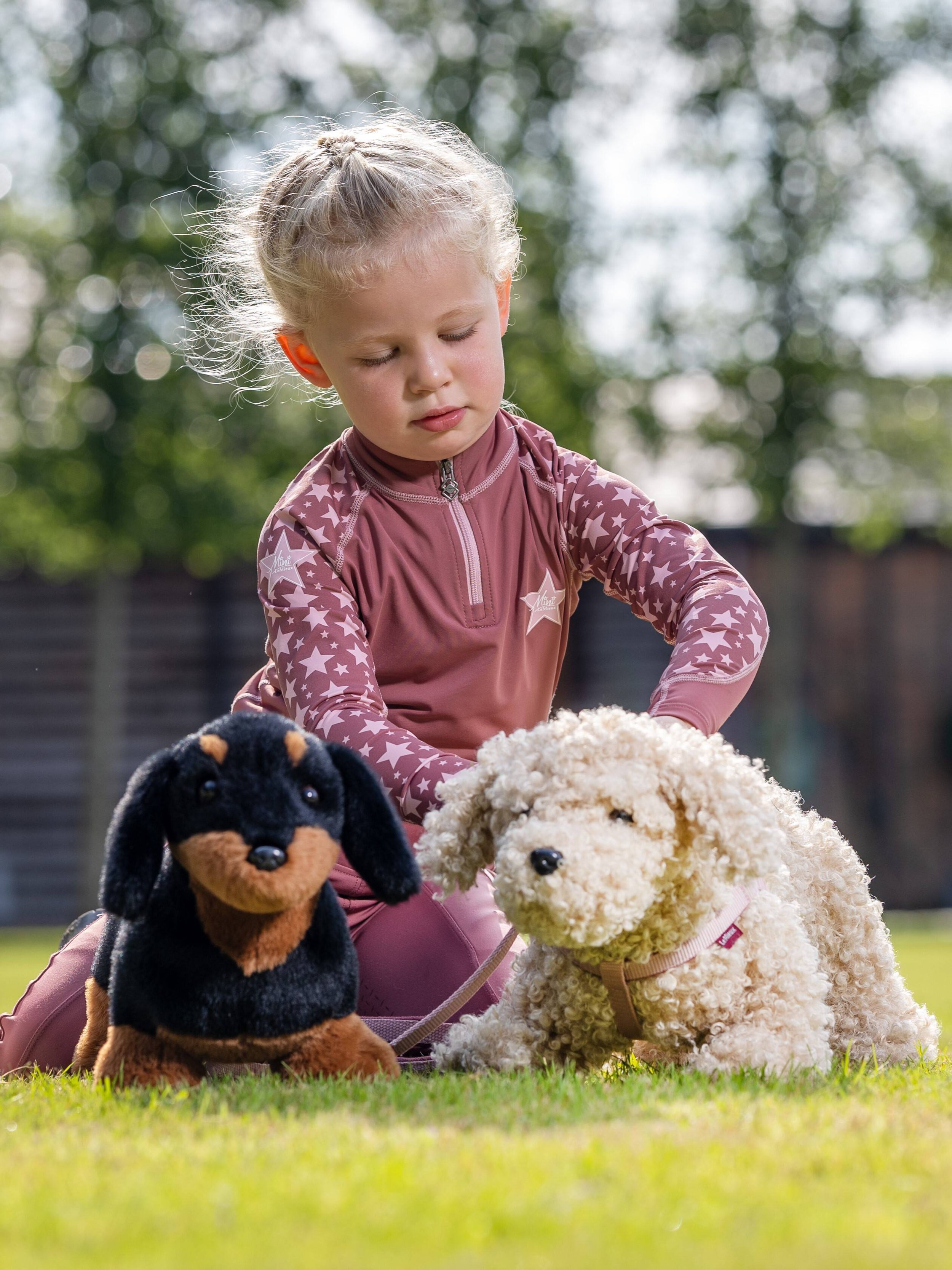 group_lifestyle_toypuppy_jack_chester_sally_1_1__1.jpg