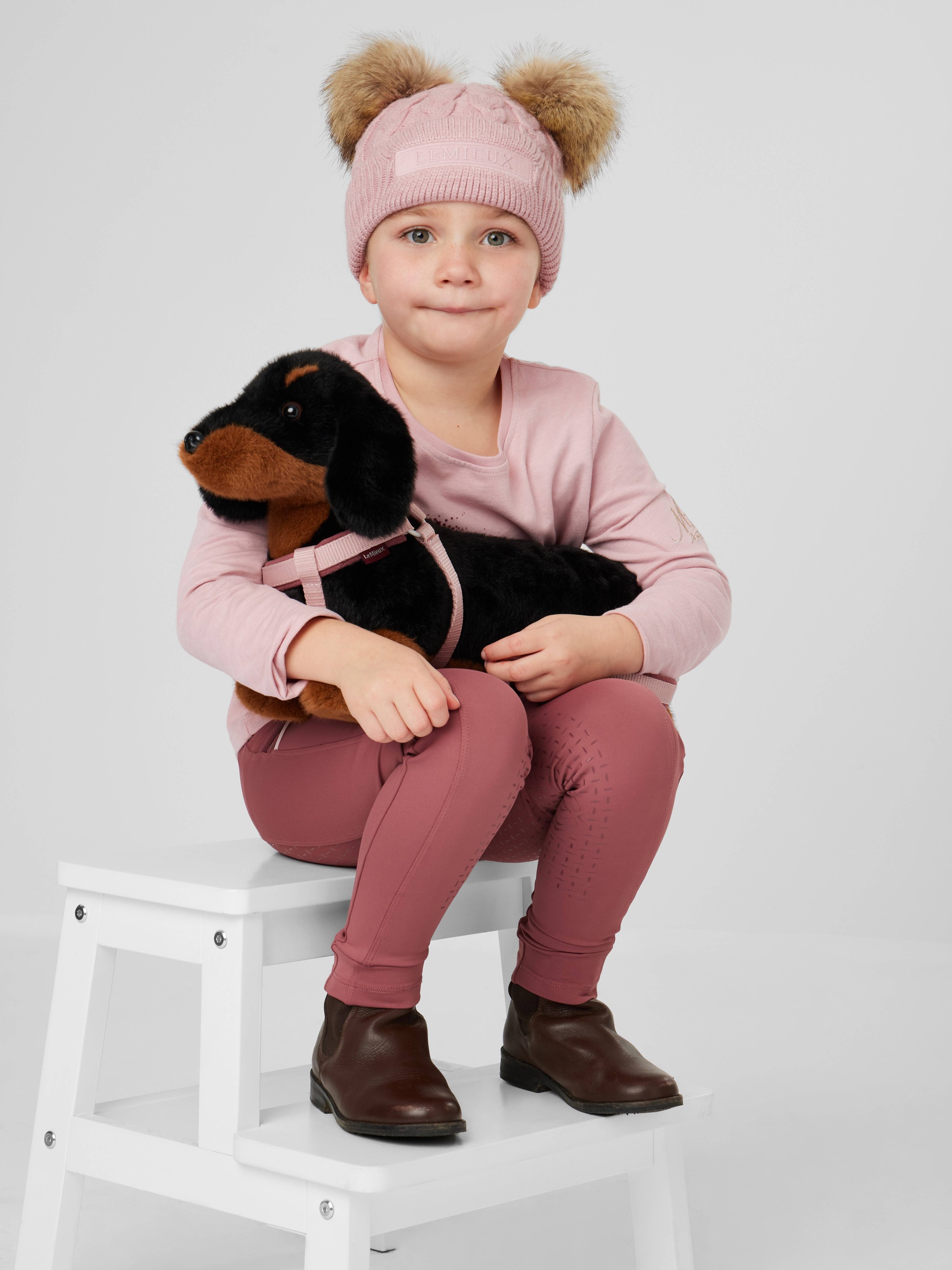 it03861_studio_toydog_dachshund_sally_2.jpg