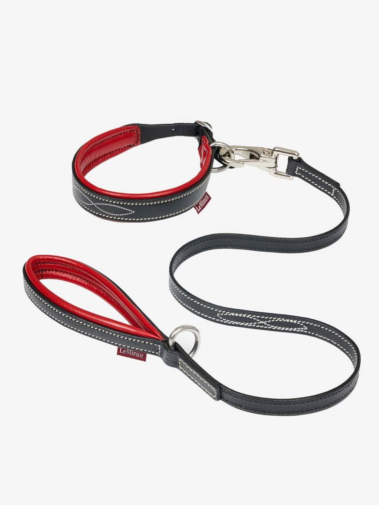 it03858_product_toydogcollarandlead_chilli_4.jpg
