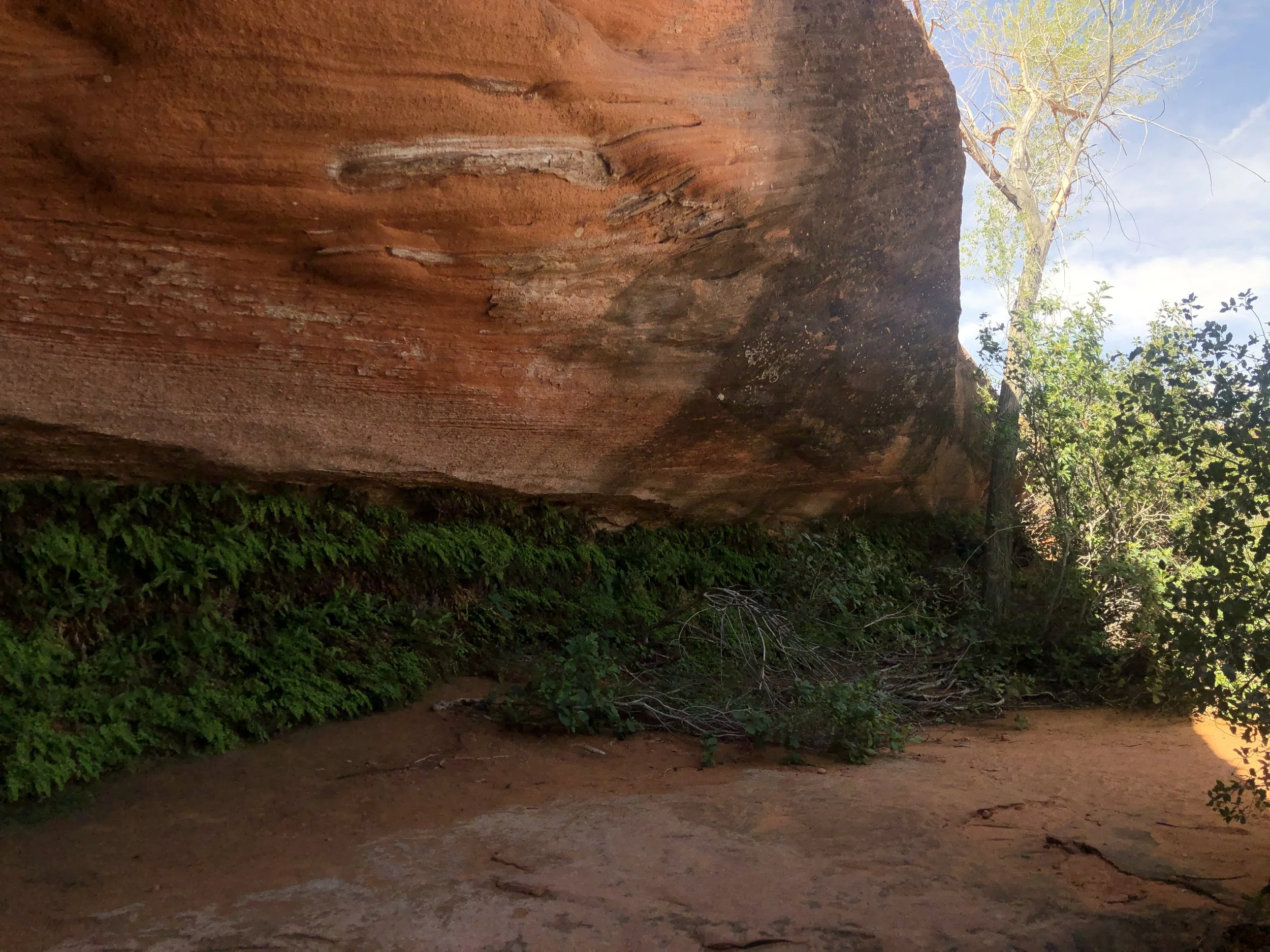 Our Favorite Hikes In Southern Utah Out Of Office Adventure