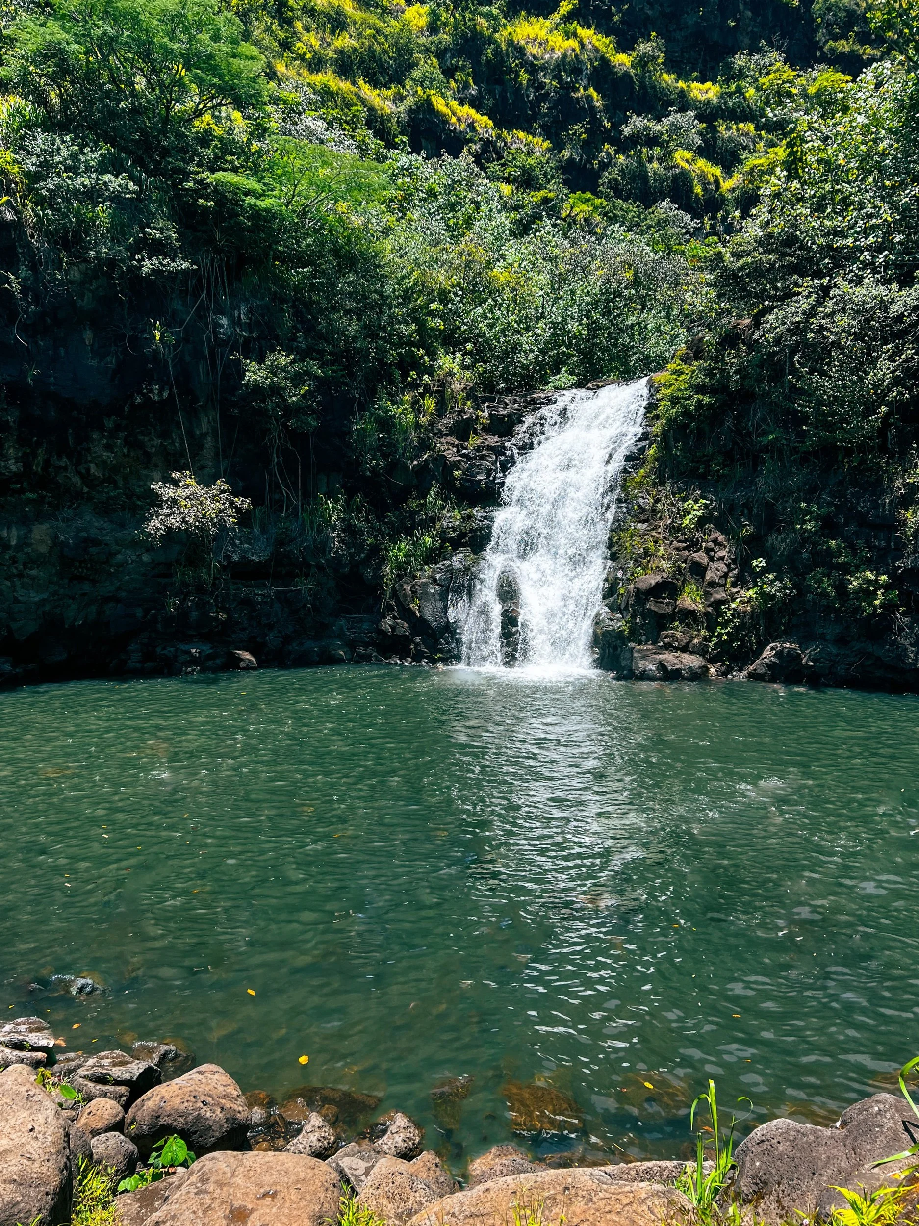 Waterfall Swimming on the North Shore of O’ahu
