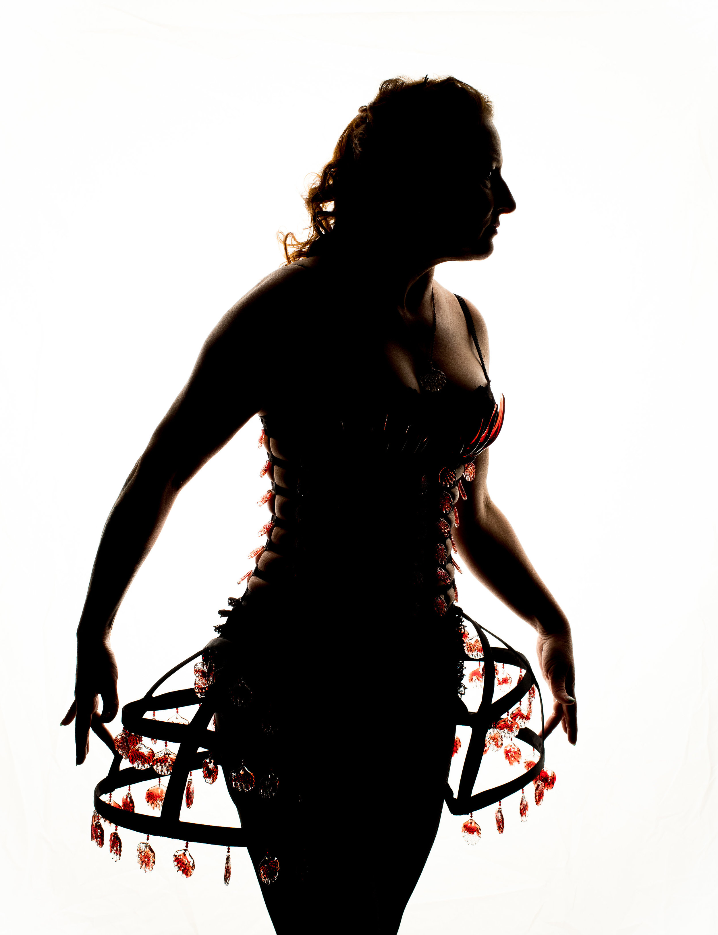 Collaboration with glass artist Sabina Boehm, photo by John Cornicello