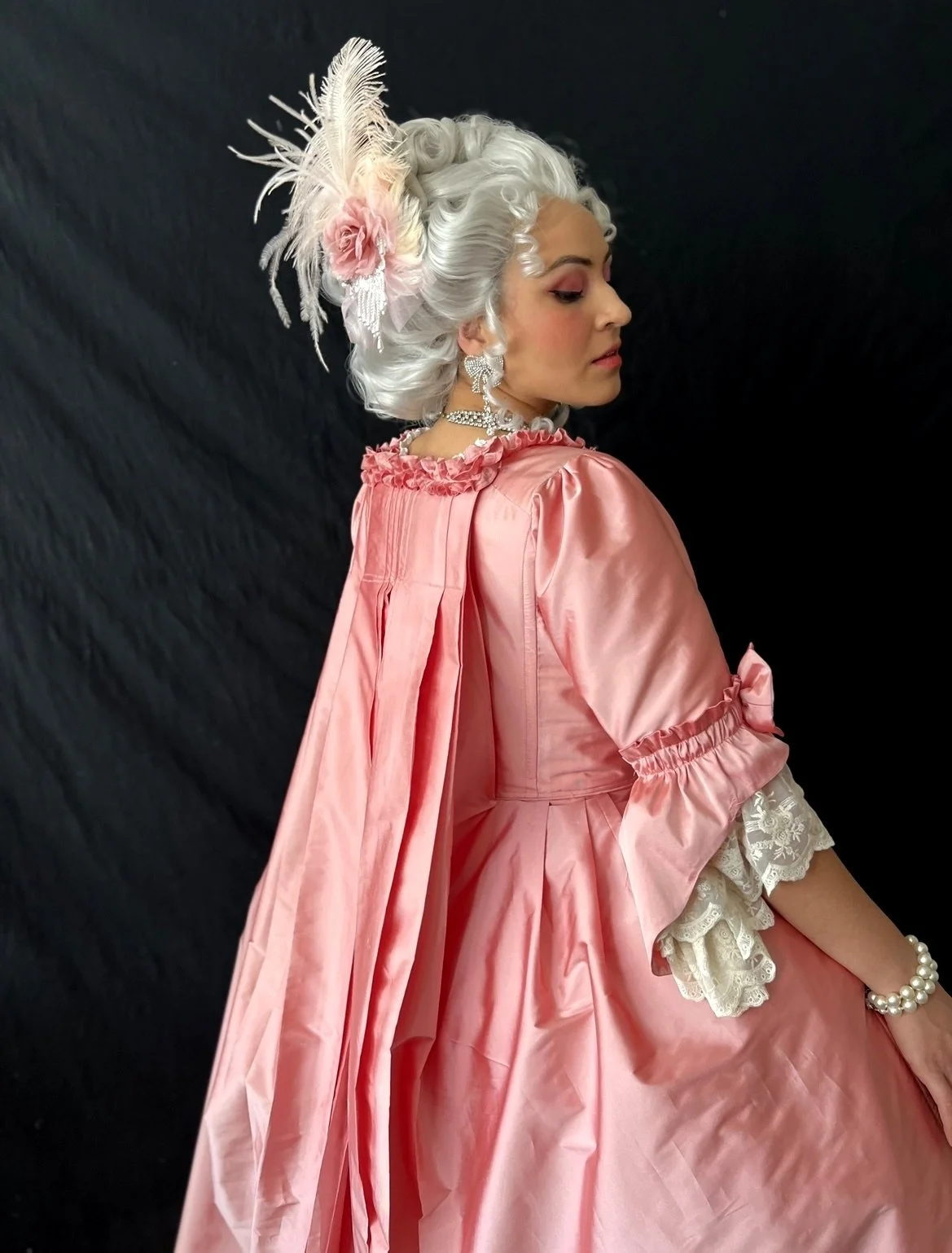 18th century dress CUSTOM Colonial 18th Century Rococo Dress Gown 1700s outfit embroidere   Matti's Millinery & Costumes