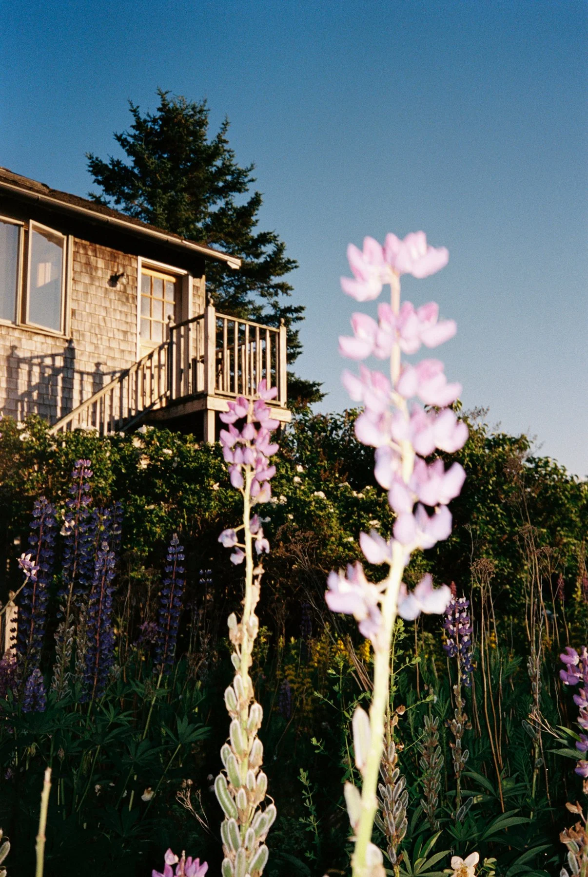 GR_ACADIA_WEB-34.jpg