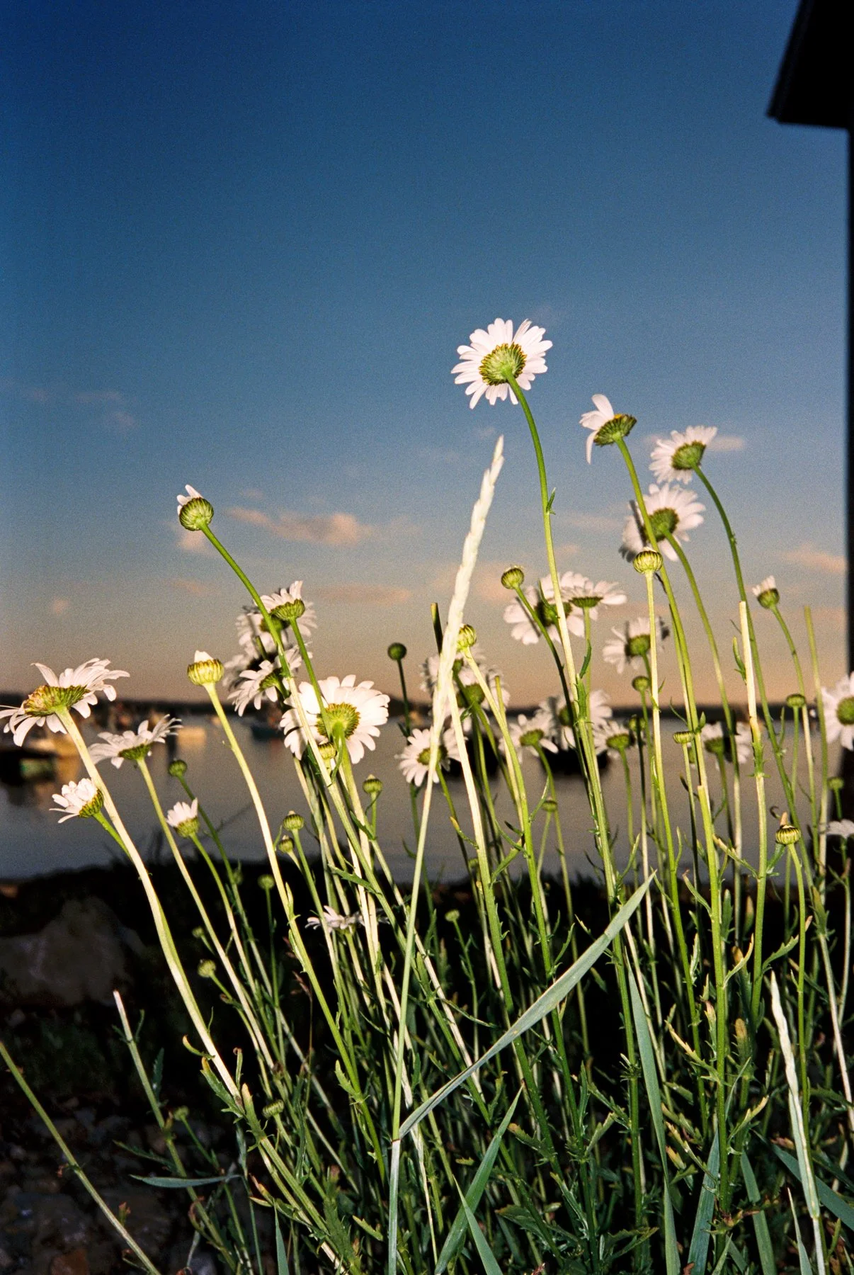 GR_ACADIA_WEB-35.jpg
