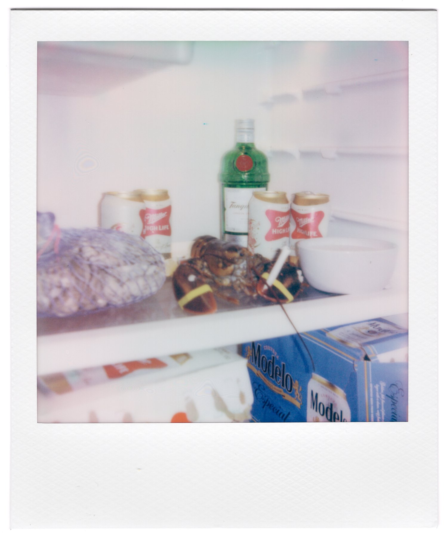 GR_ACADIA_POLAROIDS-15.jpg