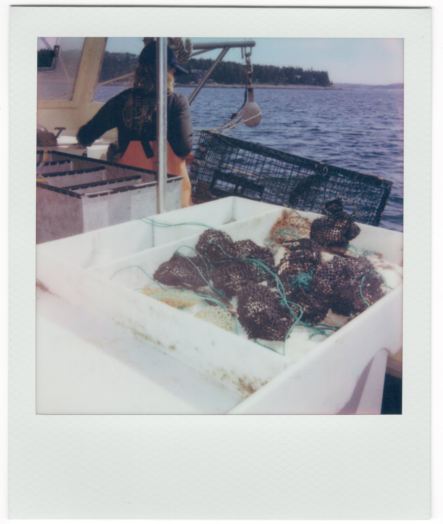 GR_ACADIA_POLAROIDS-7.jpg