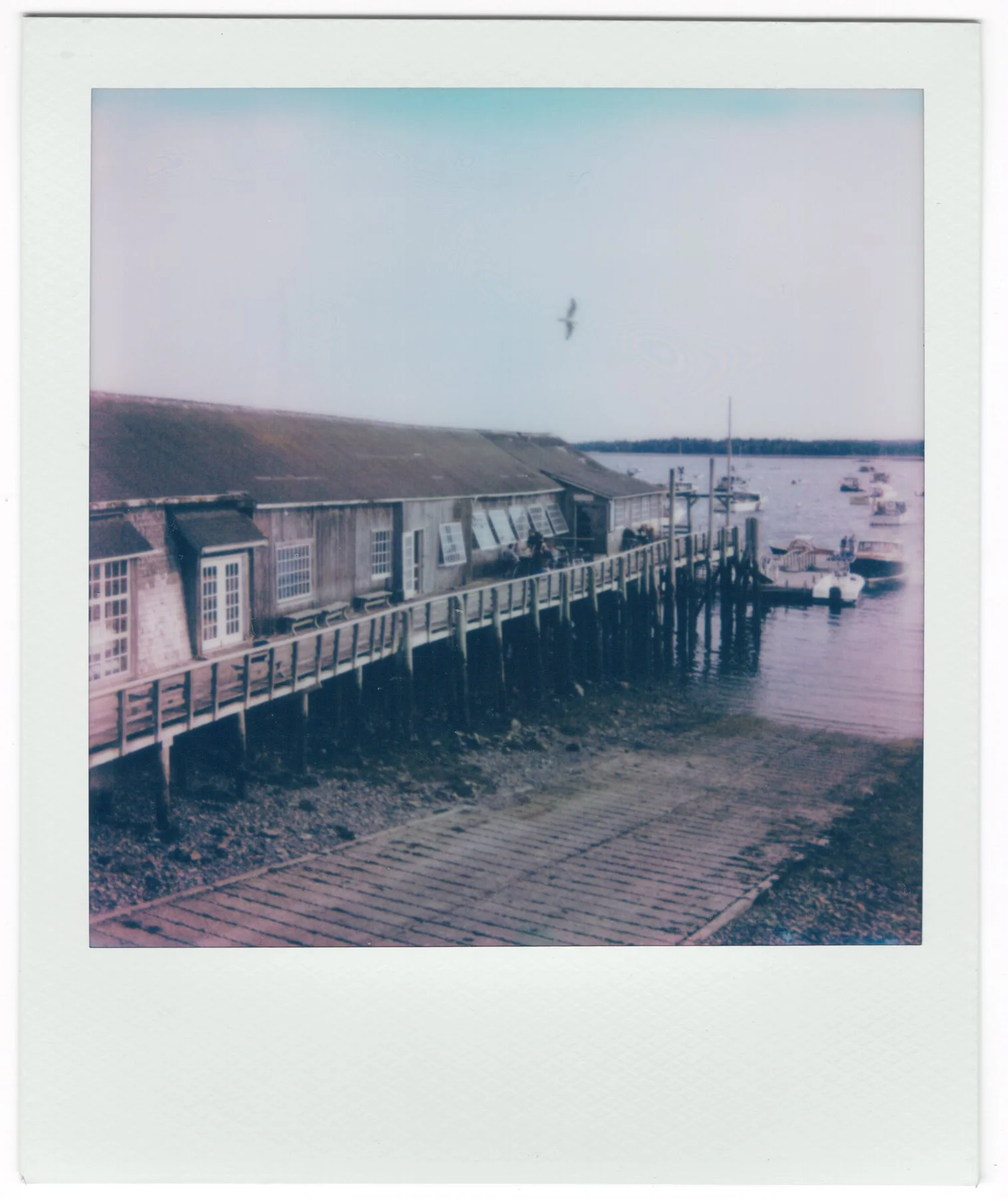 GR_ACADIA_POLAROIDS-4.jpg