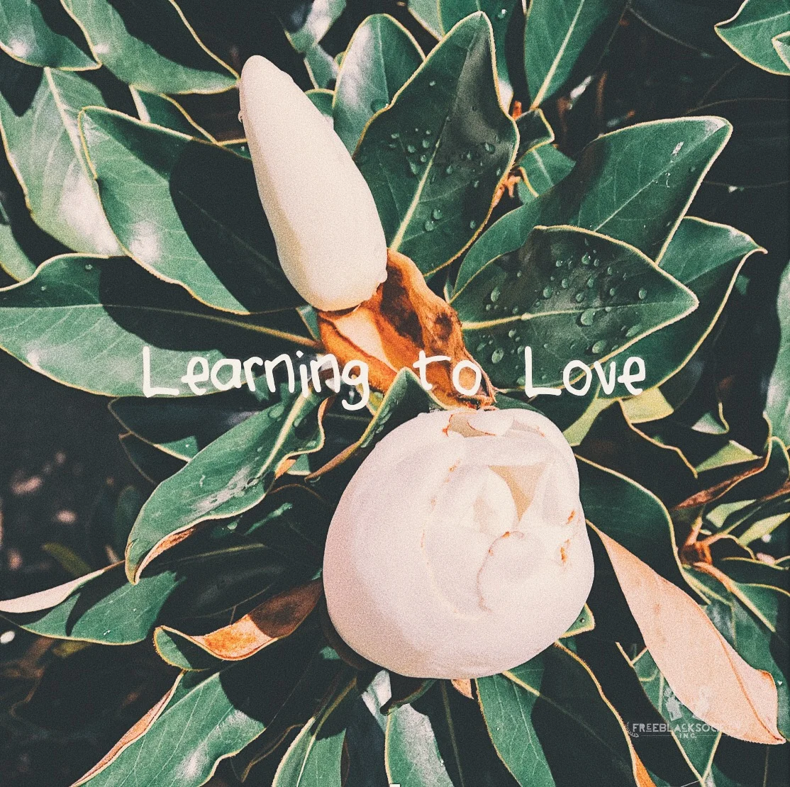 Learning To Love
