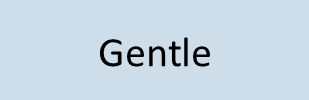 Gentle (Copy)