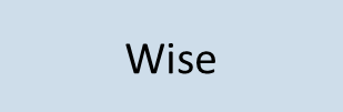 Wise (Copy)