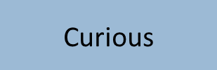 Curious (Copy)
