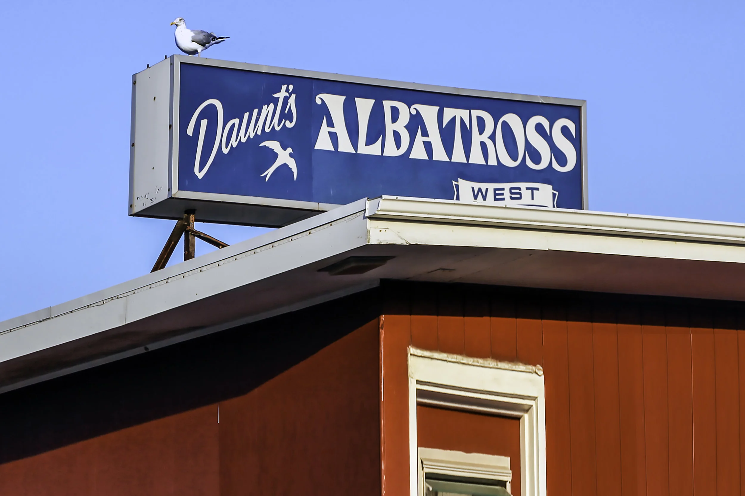 Daun't Albatross Motel, Montauk, Hamptons, New York 2010 (Americana 12)