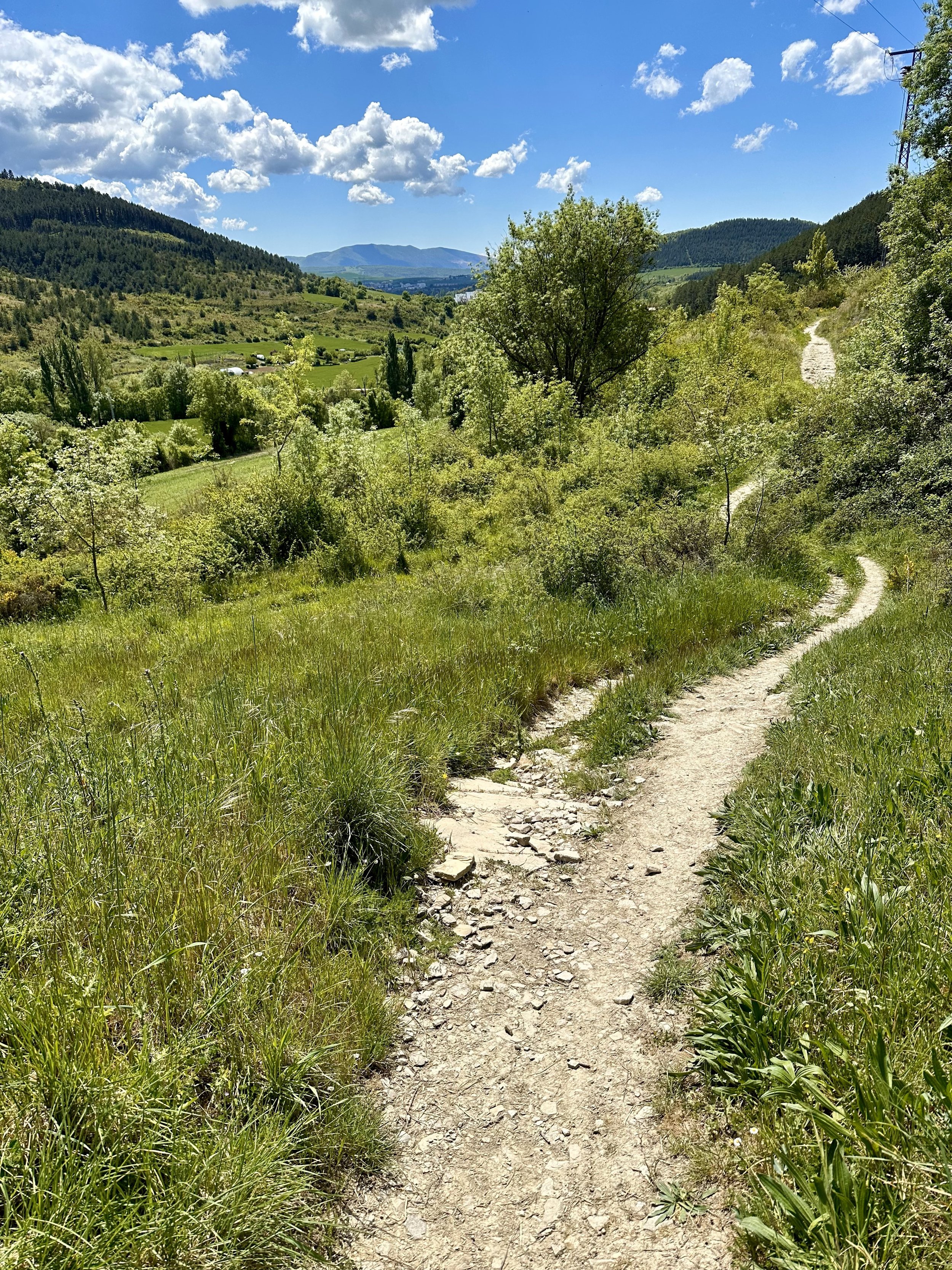 Camino Francés, Weg zwischen Wiesen und Bergen