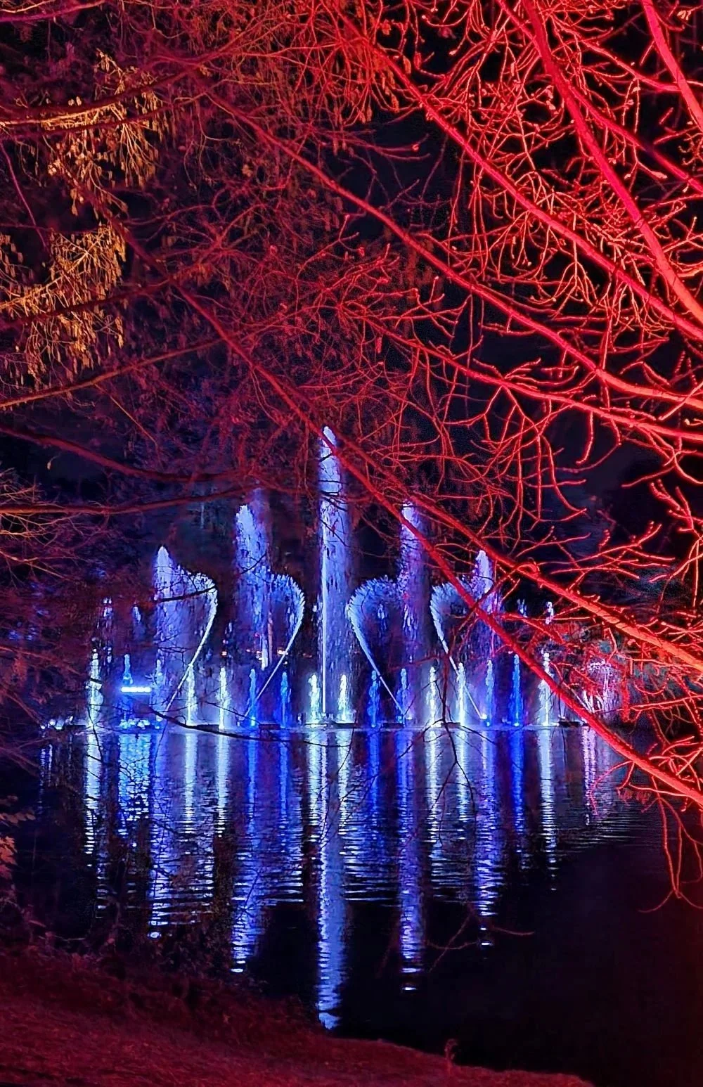 Rezension Christmas Garden Botanischer Garten Berlin, Wasserfontänen in blau