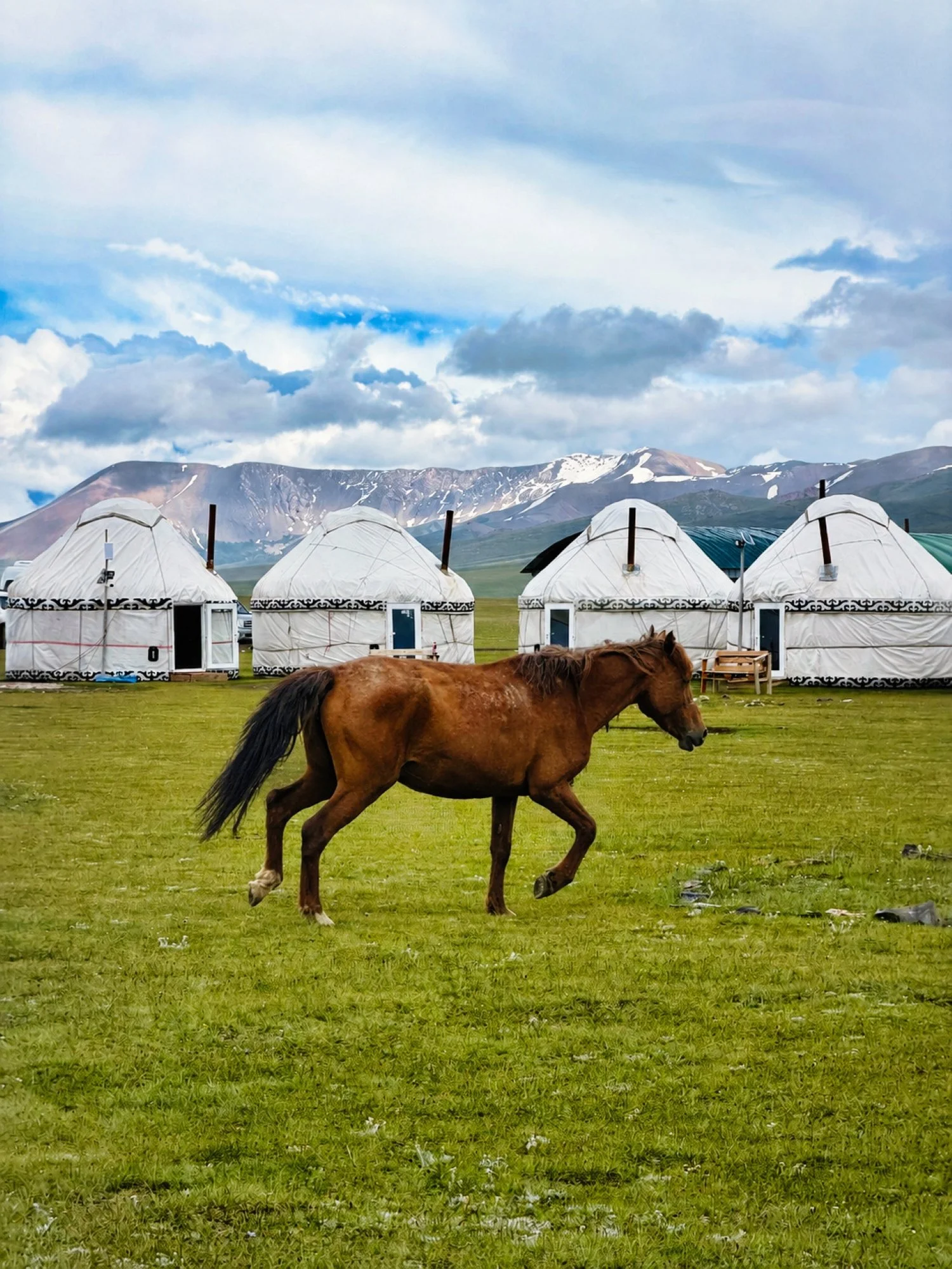 Kirgistan Reisebericht, Jurten und Berge mit Pferd davor