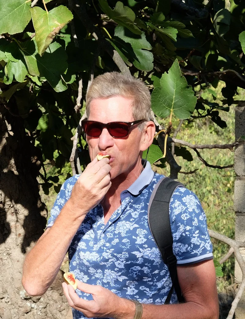 Feigen in Perithia.jpg