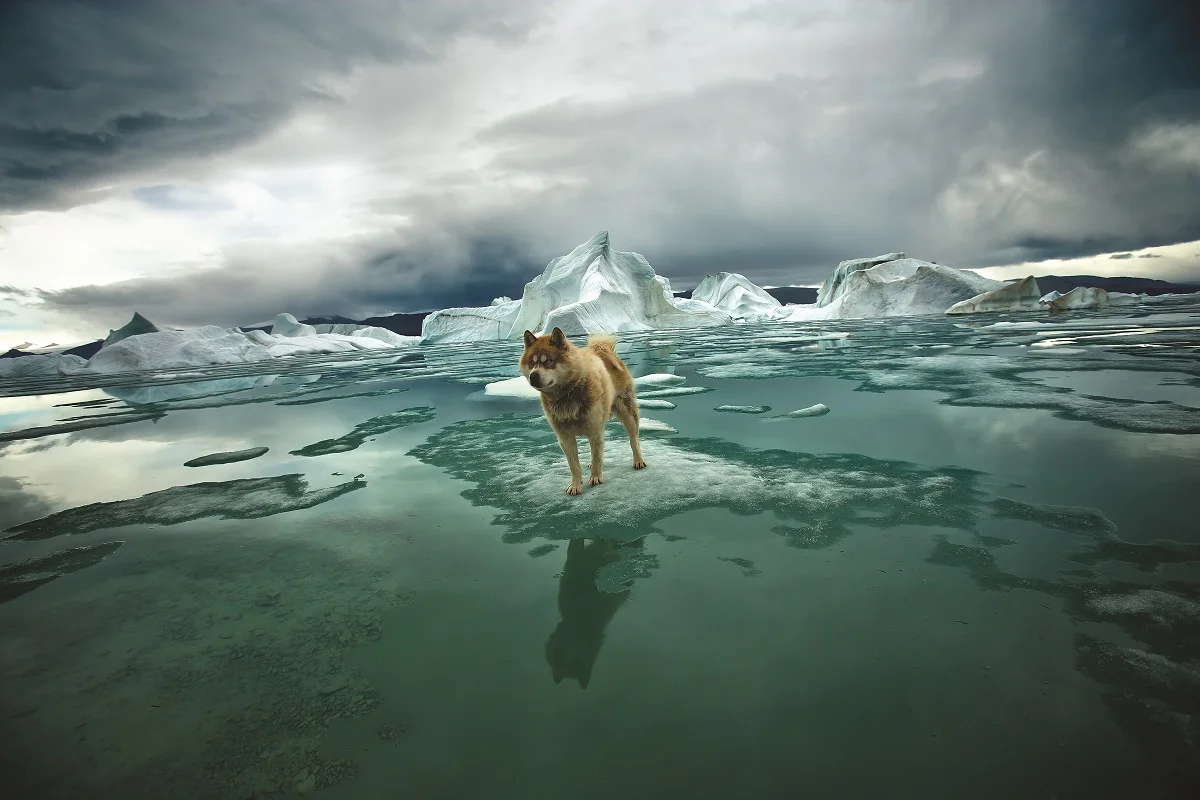 © Sebastian Copeland / Courtesy of CAMERA WORK