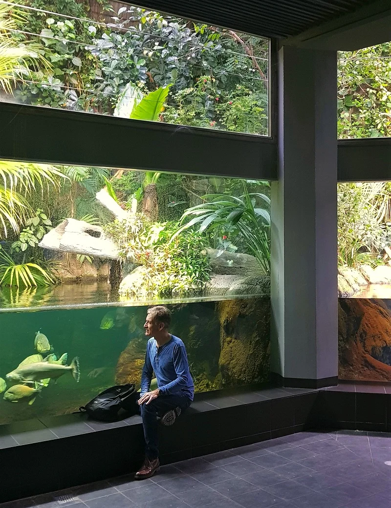 Panoramabecken Aquarium Berlin.jpg