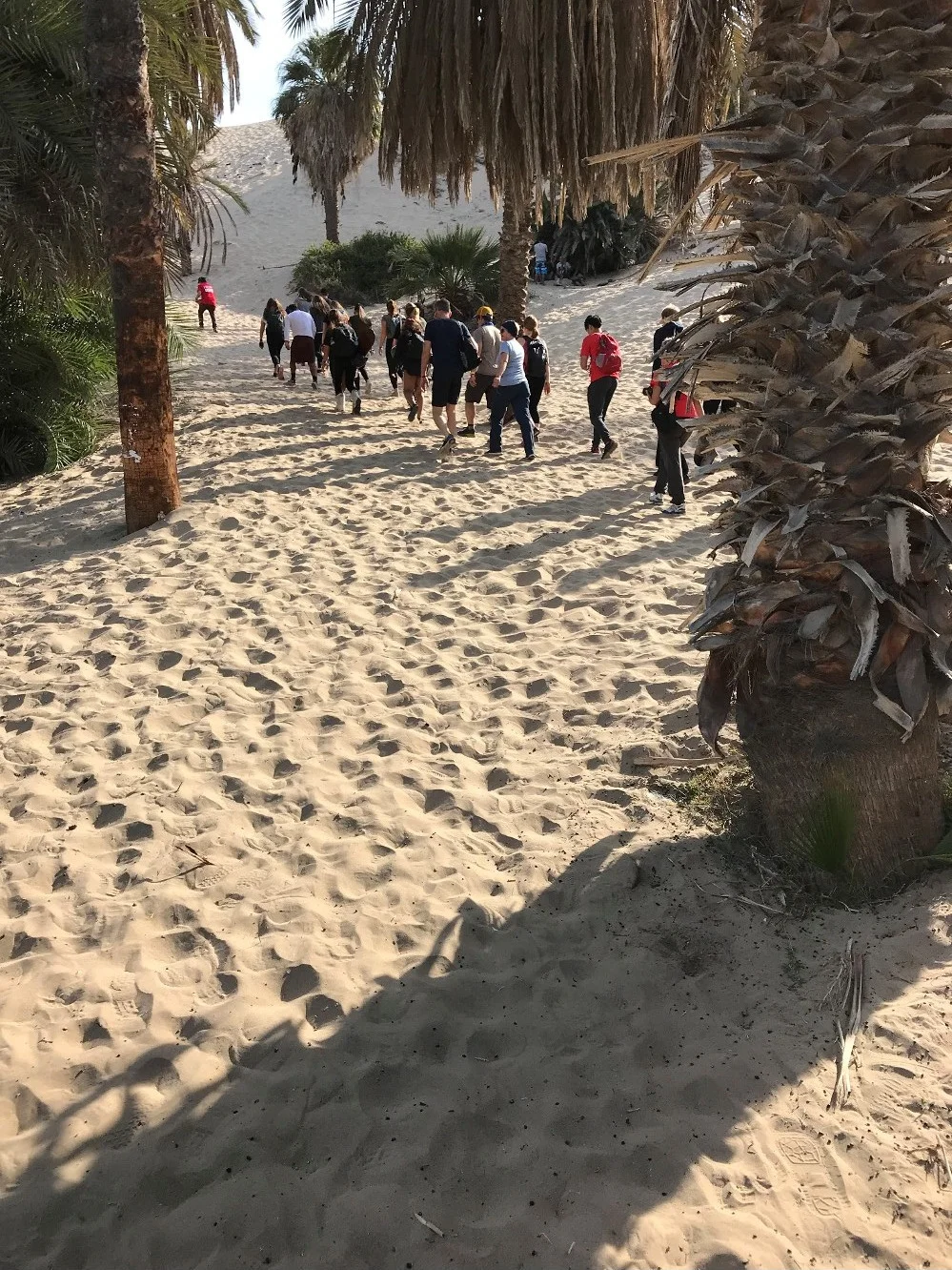 Sand_002.jpg