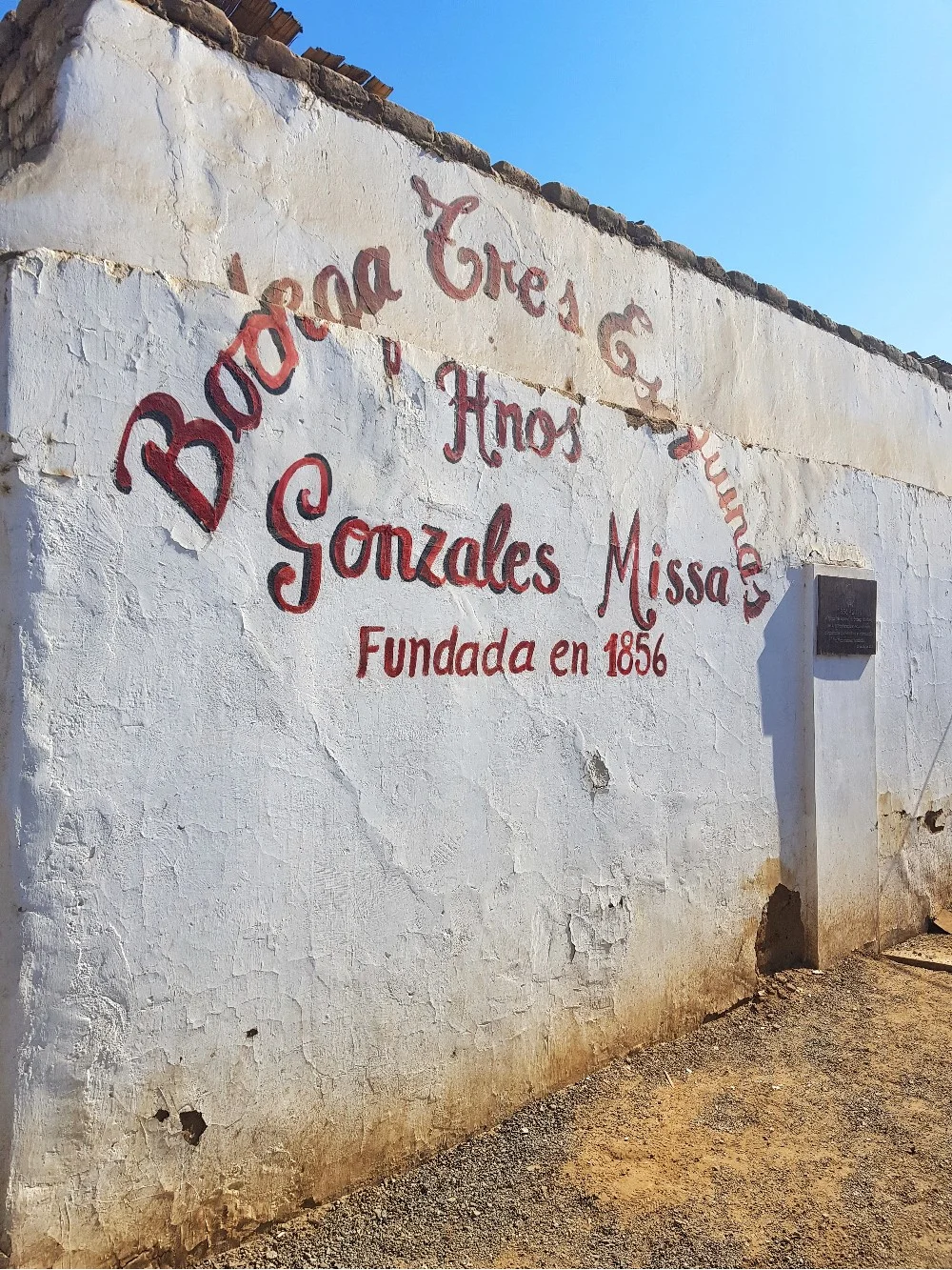 Pisco003.jpg