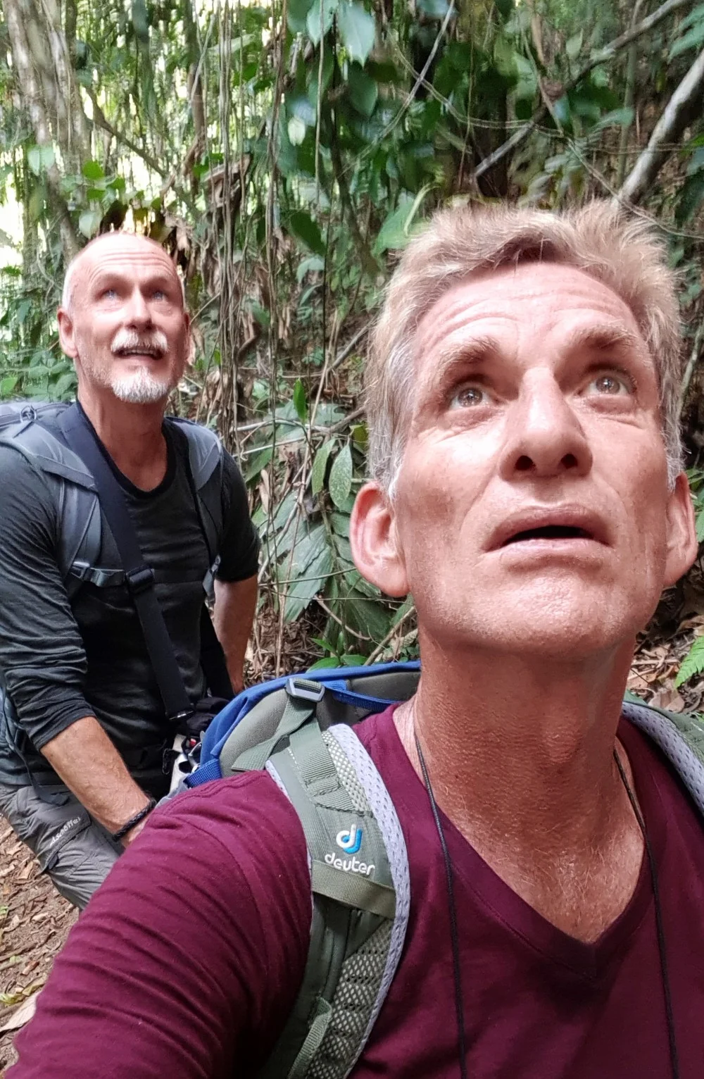 Manu Nationalpark 1l.jpg