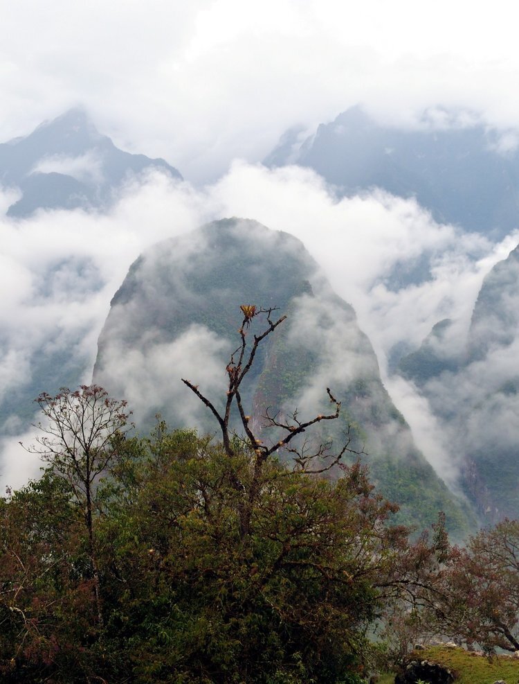 Machu Picchu