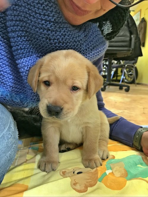 Tierfreude Grad60 Com