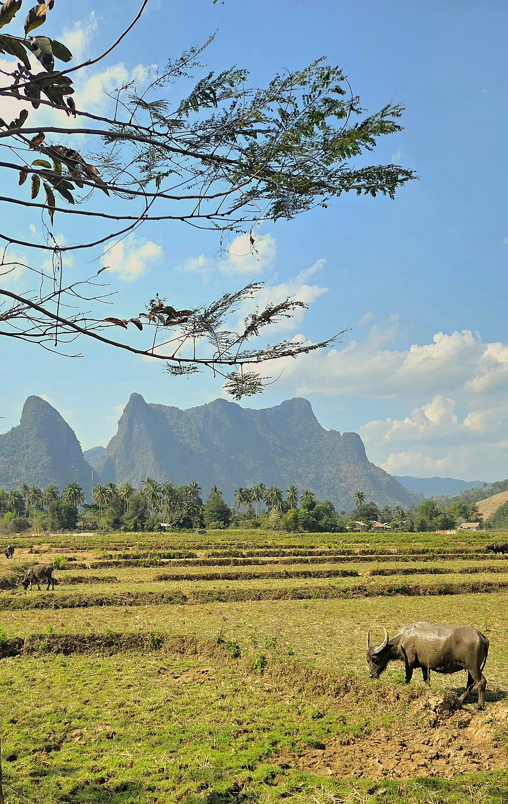 Laos - Rundreise auf eigene Faust