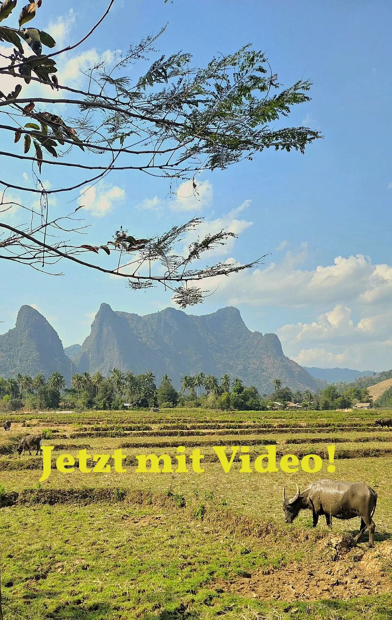 Laos - Rundreise auf eigene Faust